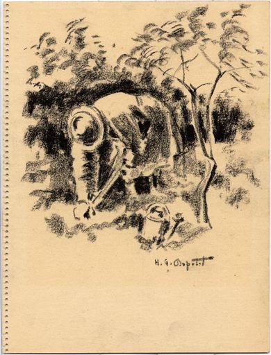 Grand-mère au jardin potager_0