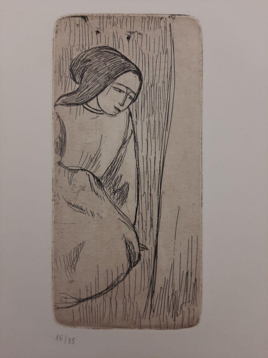Femme assise au capuchon noir, Арман Сеген, 1893-1894