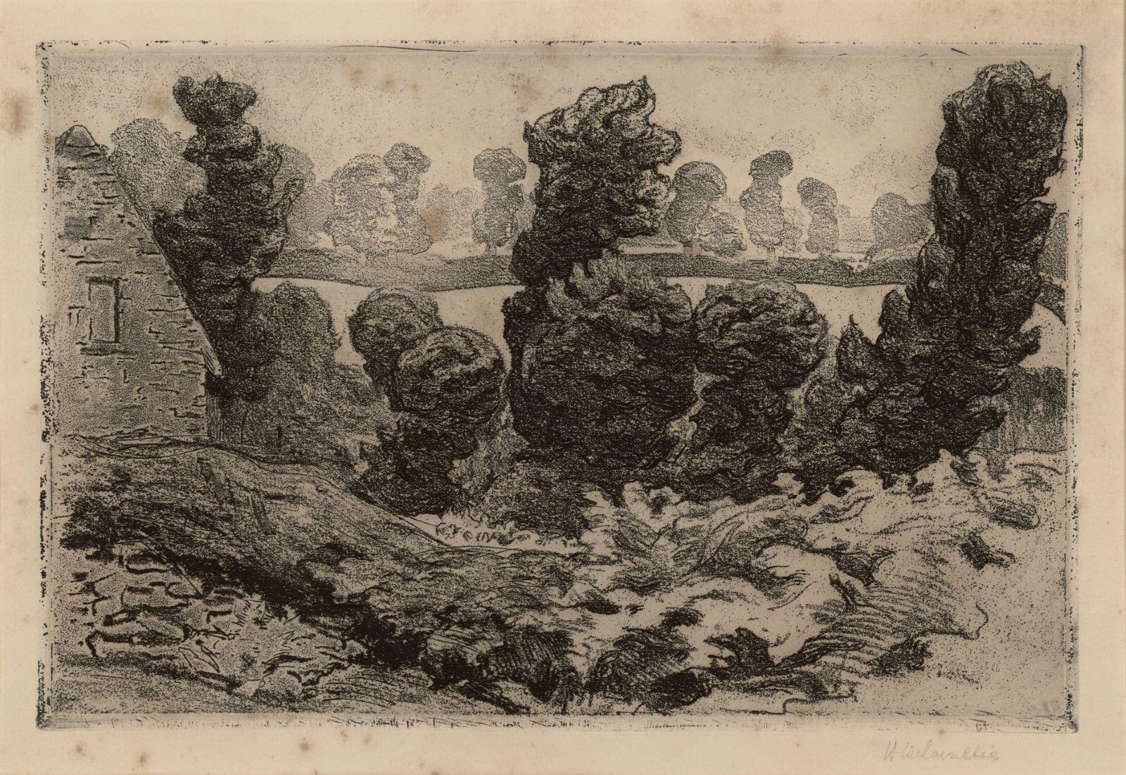Chênes tétards, Henri Delavallée, 1893