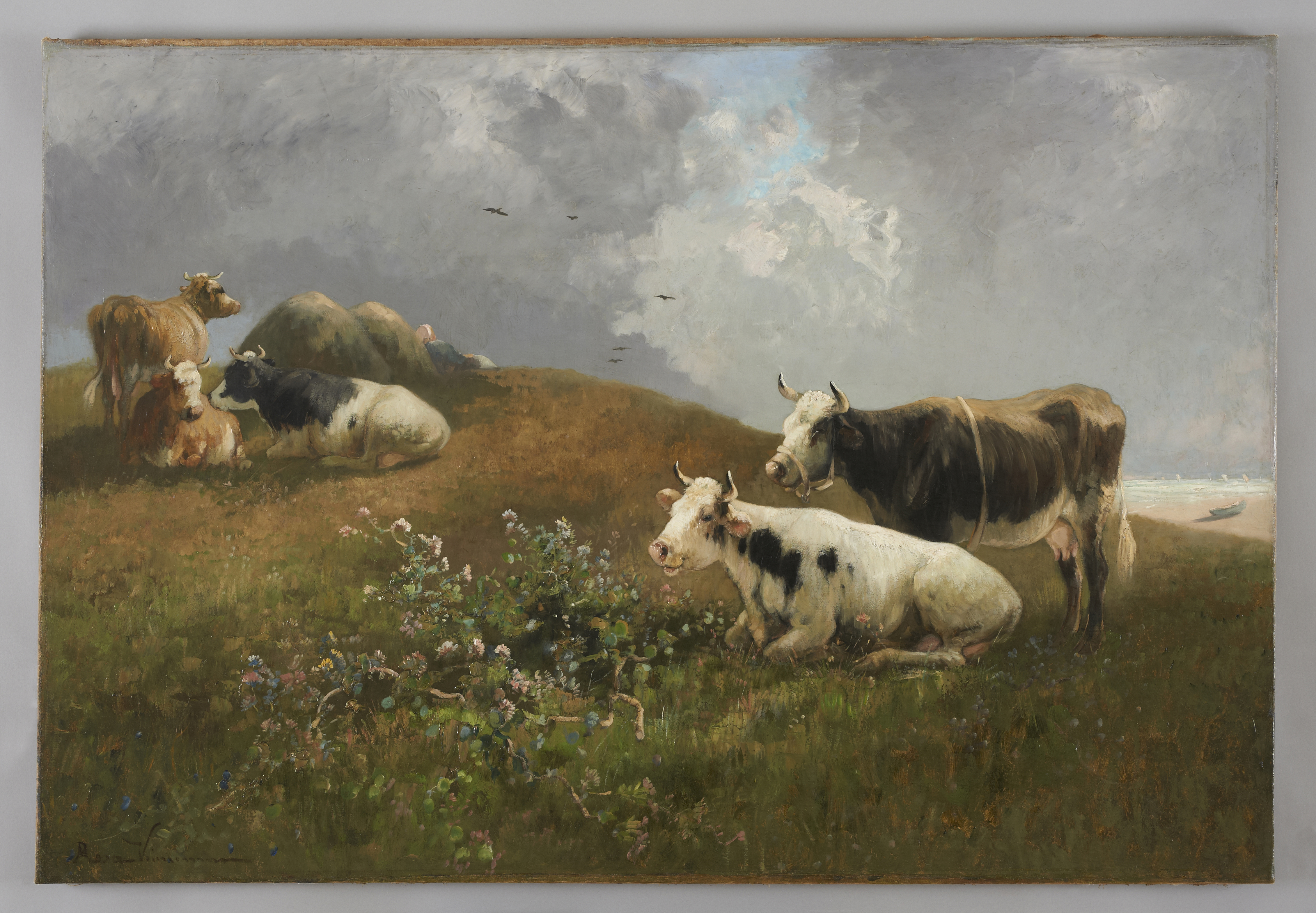 Bestiaux sur les falaises du Tréport, Rosa Venneman