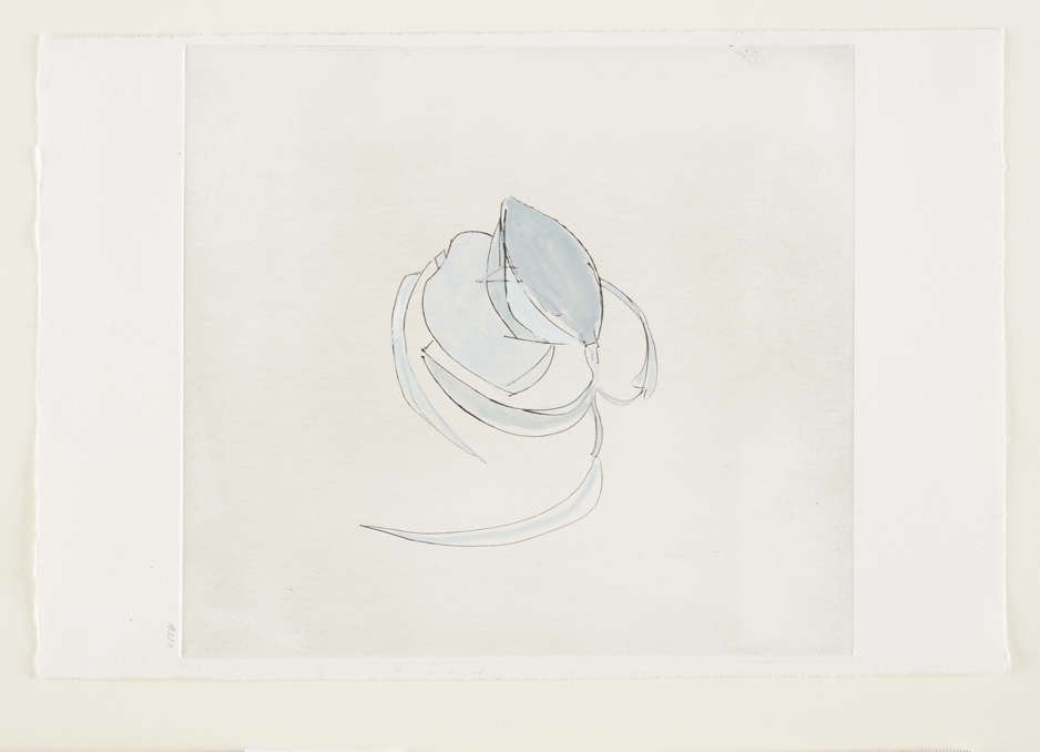 Livre des Litres T VIII . 11, Geneviève Asse, 1968