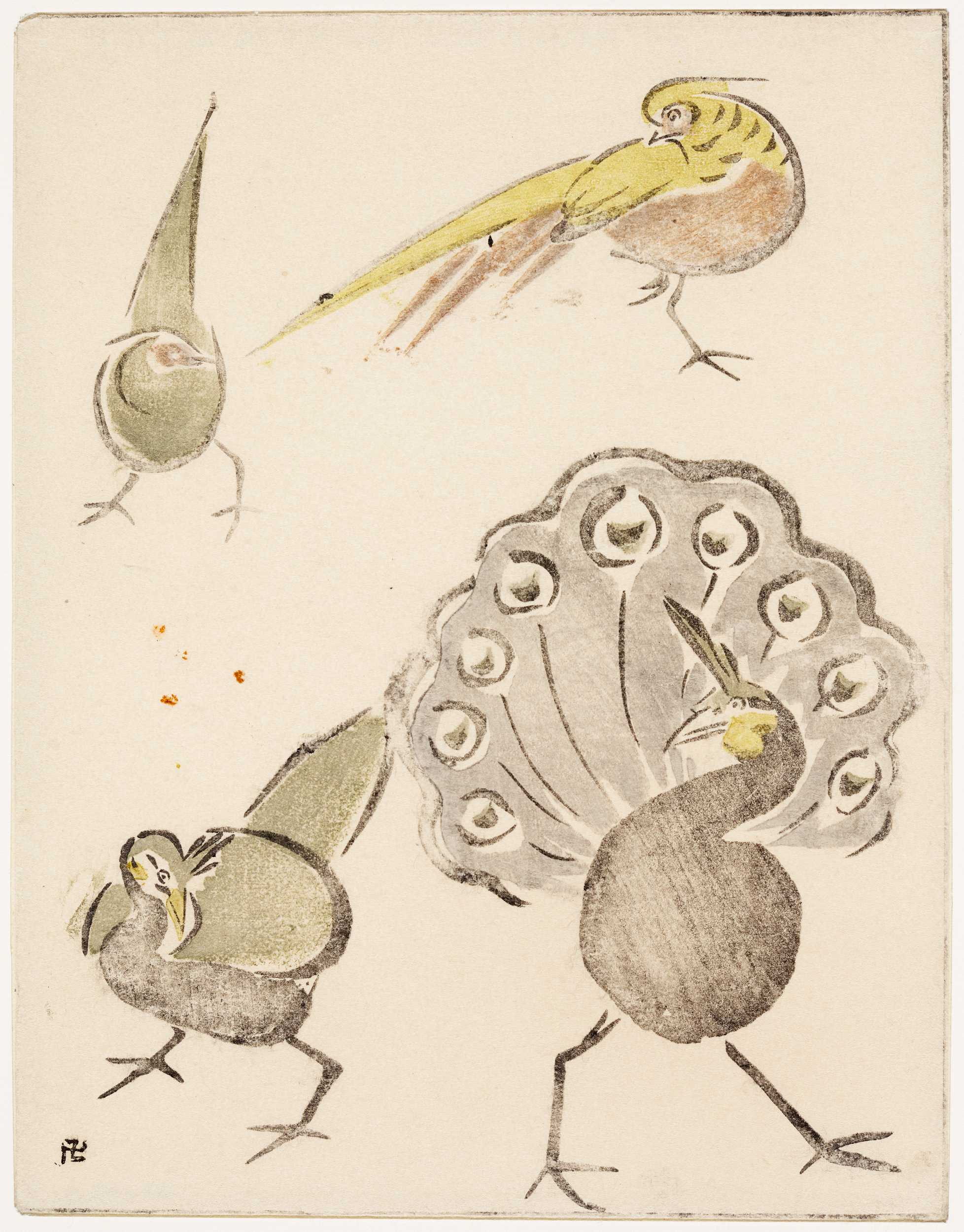 Croquis d'oiseaux - faisans et paons, Yoshijiro Urushibara, 20e siècle