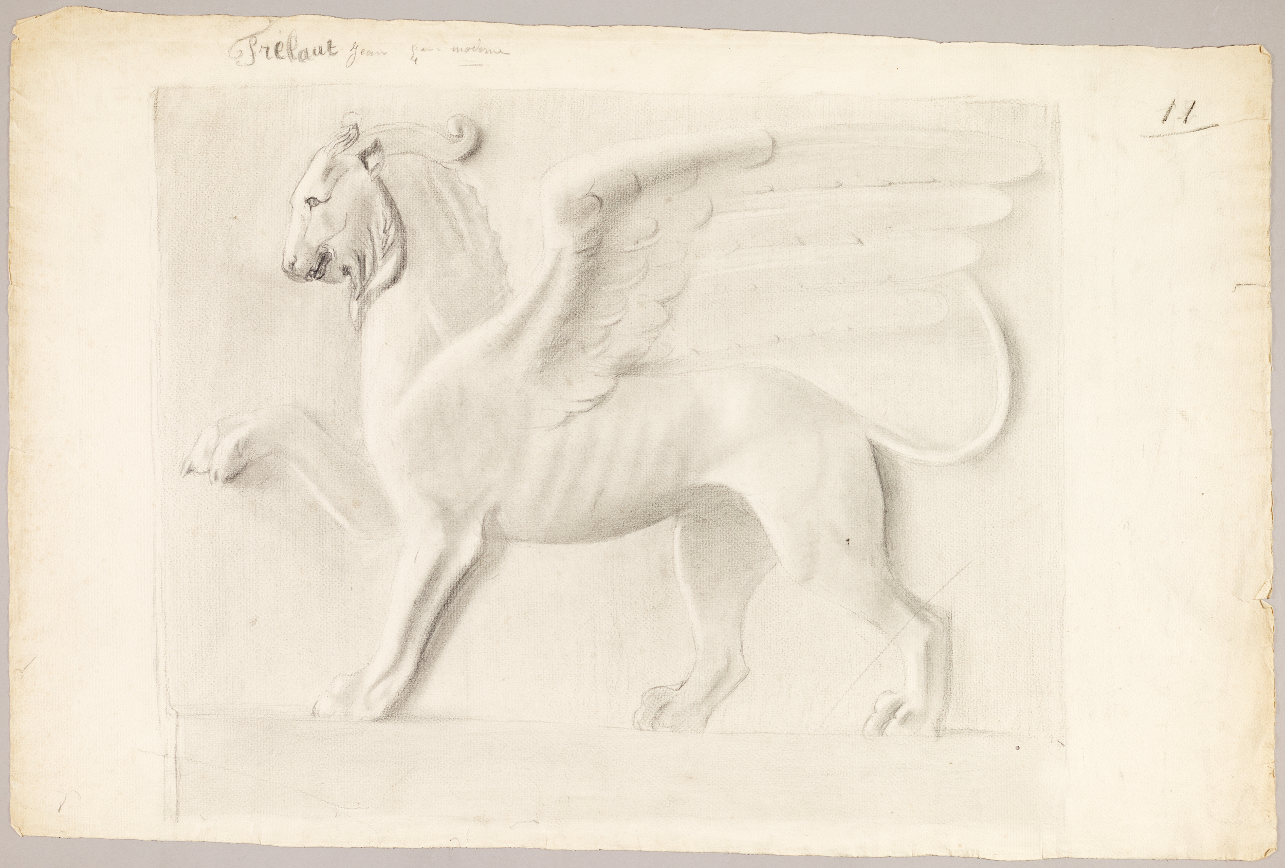 Étude d'animal ailé (titre factice), Jean Frélaut, 19e siècle