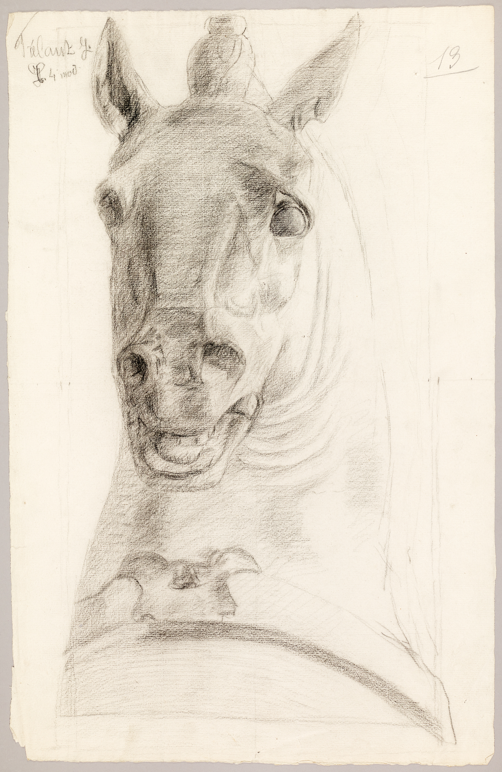 Étude de tête de cheval (titre factice), Jean Frélaut, 19e siècle