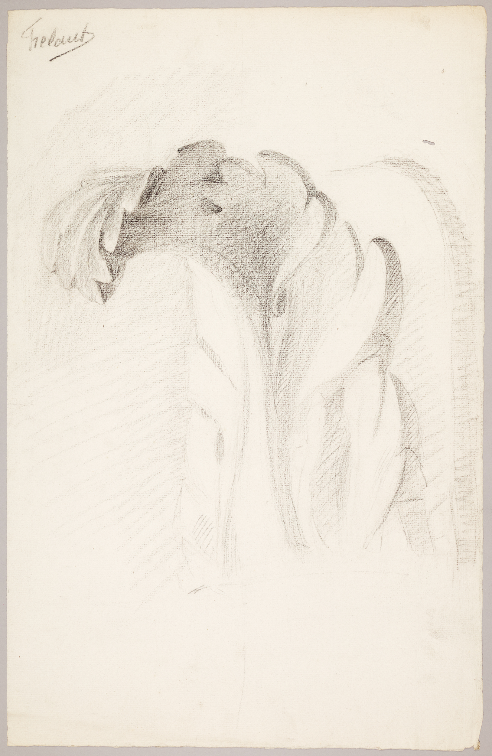 Étude de feuillage (titre factice), Jean Frélaut, 19e siècle
