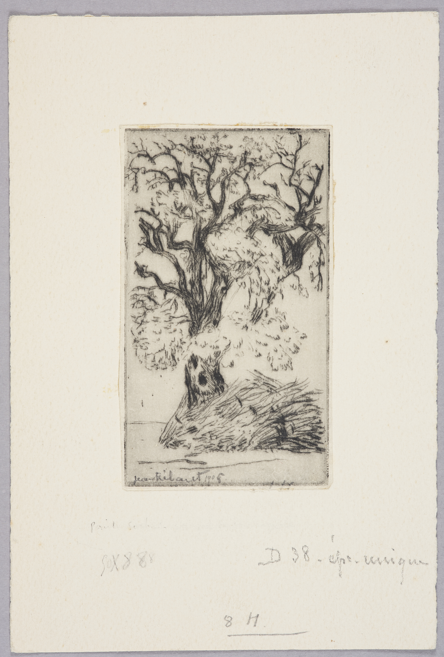Un vieux poirier (titre factice), Jean Frélaut, 1905