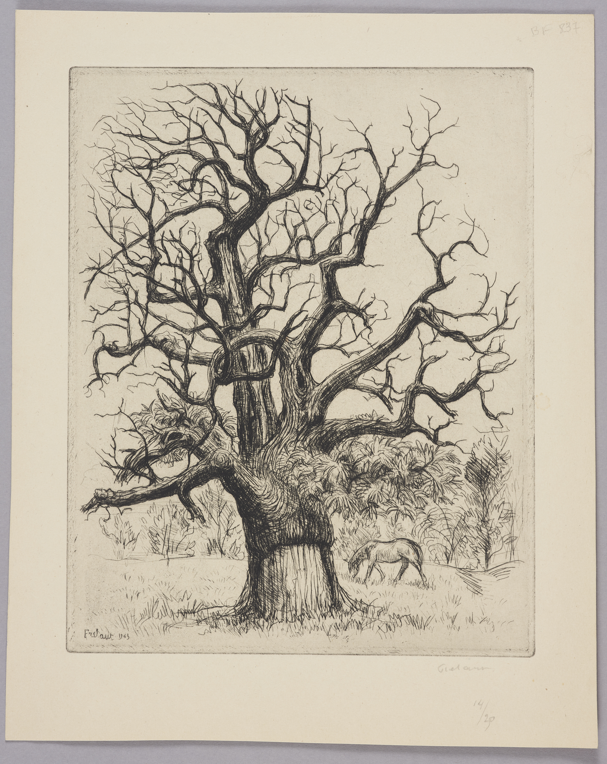 Etude d'arbre (titre de catalogue), Jean Frélaut, 1946