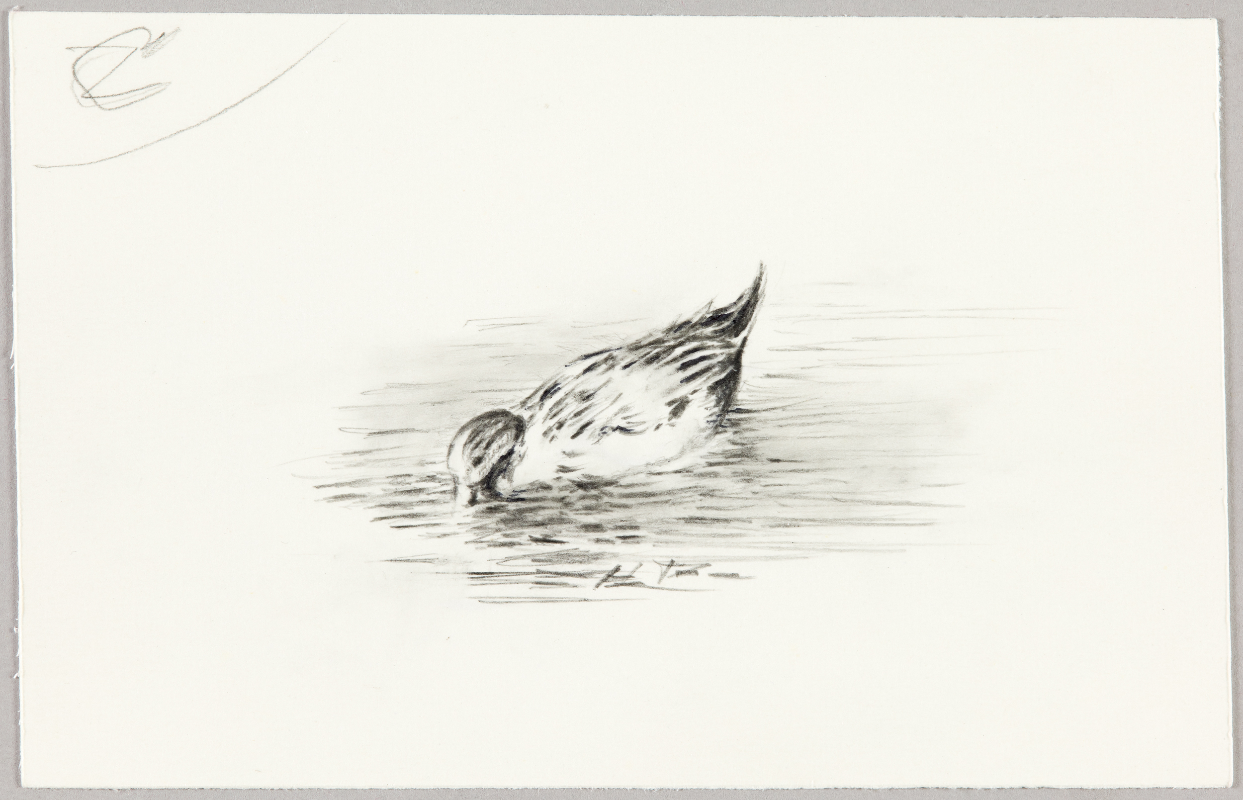 Canard, Henri de Parceveaux, 20e siècle