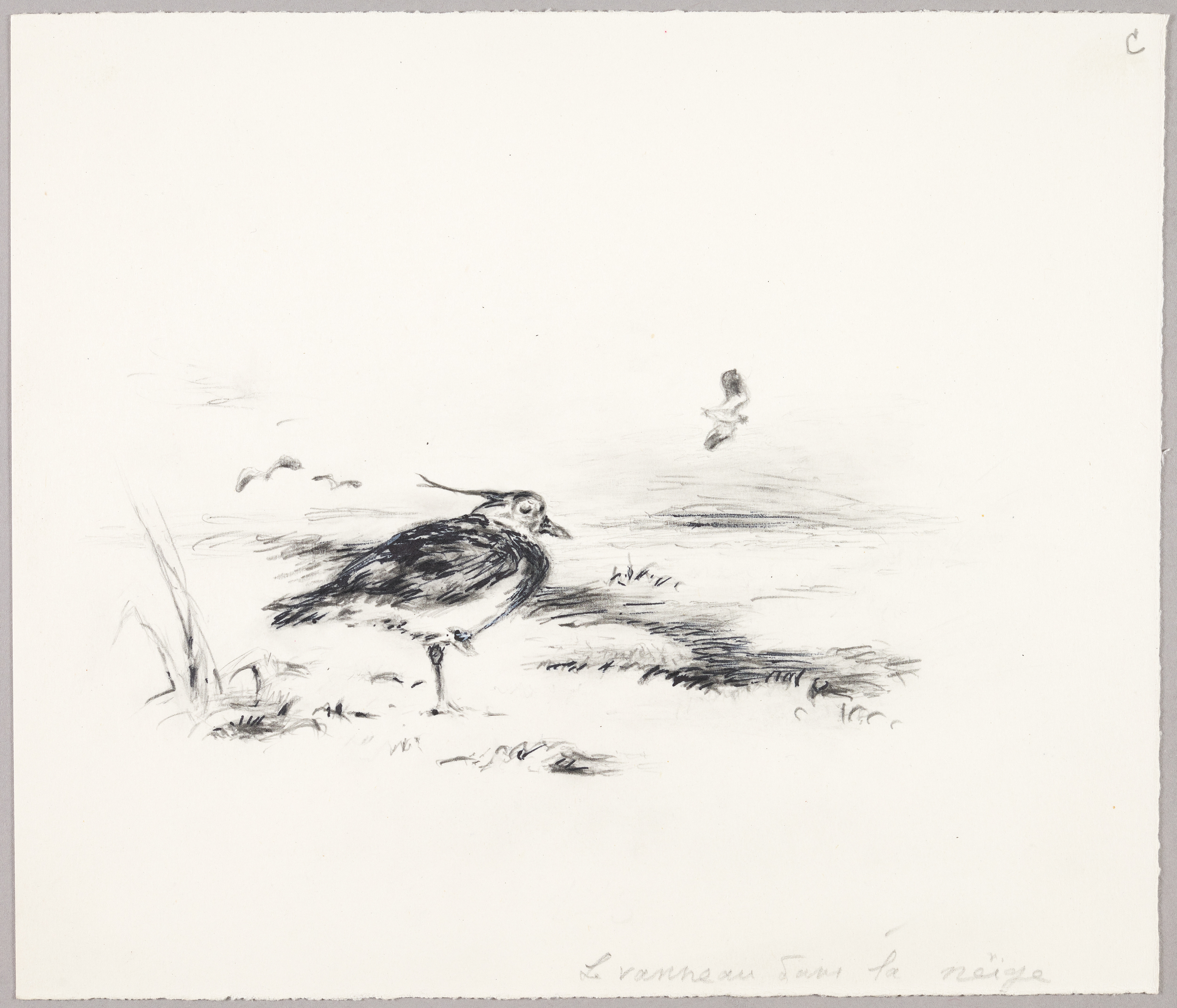 Le vanneau dans la neige, Henri de Parceveaux, 20e siècle