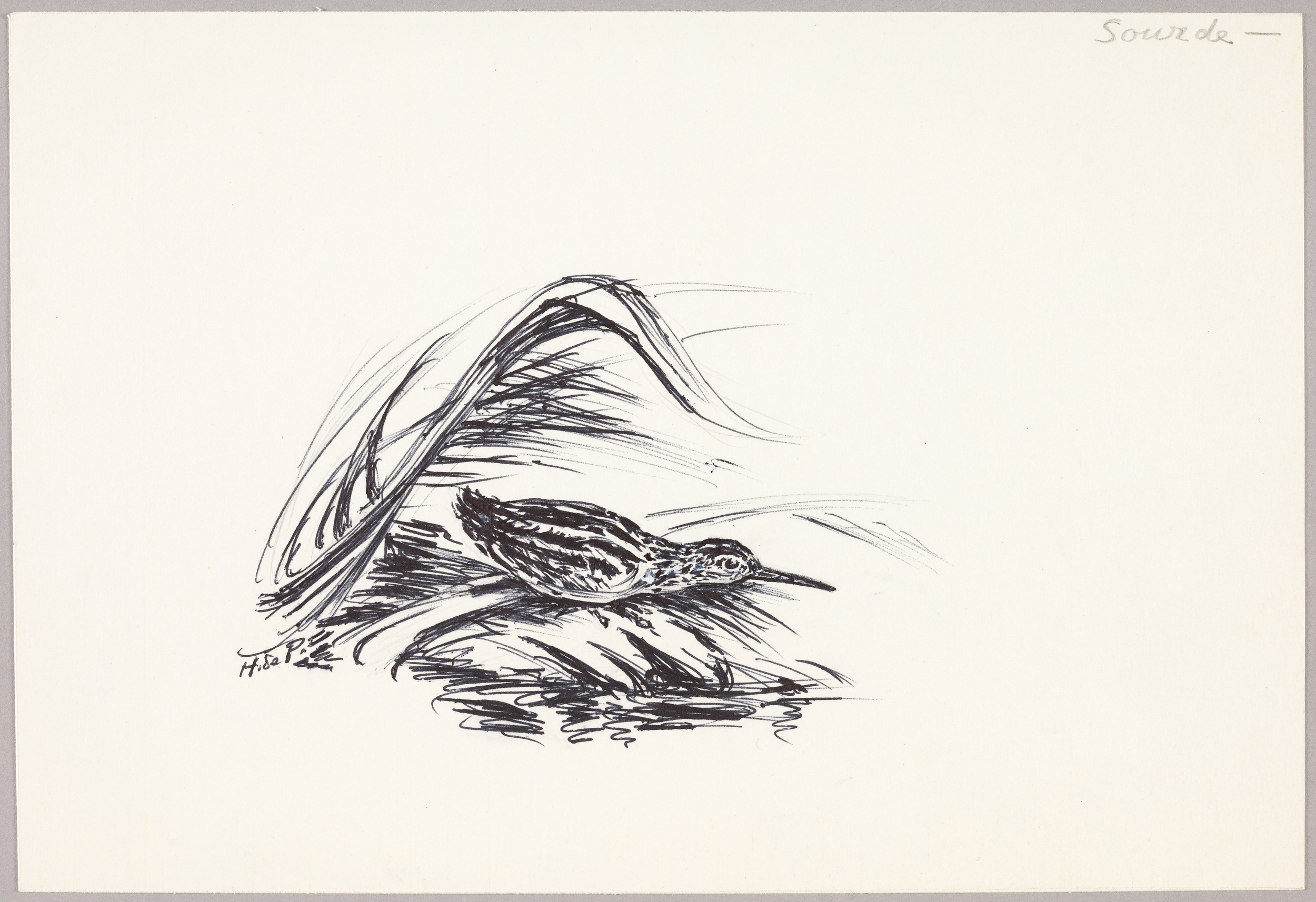 Sourde, Henri de Parceveaux