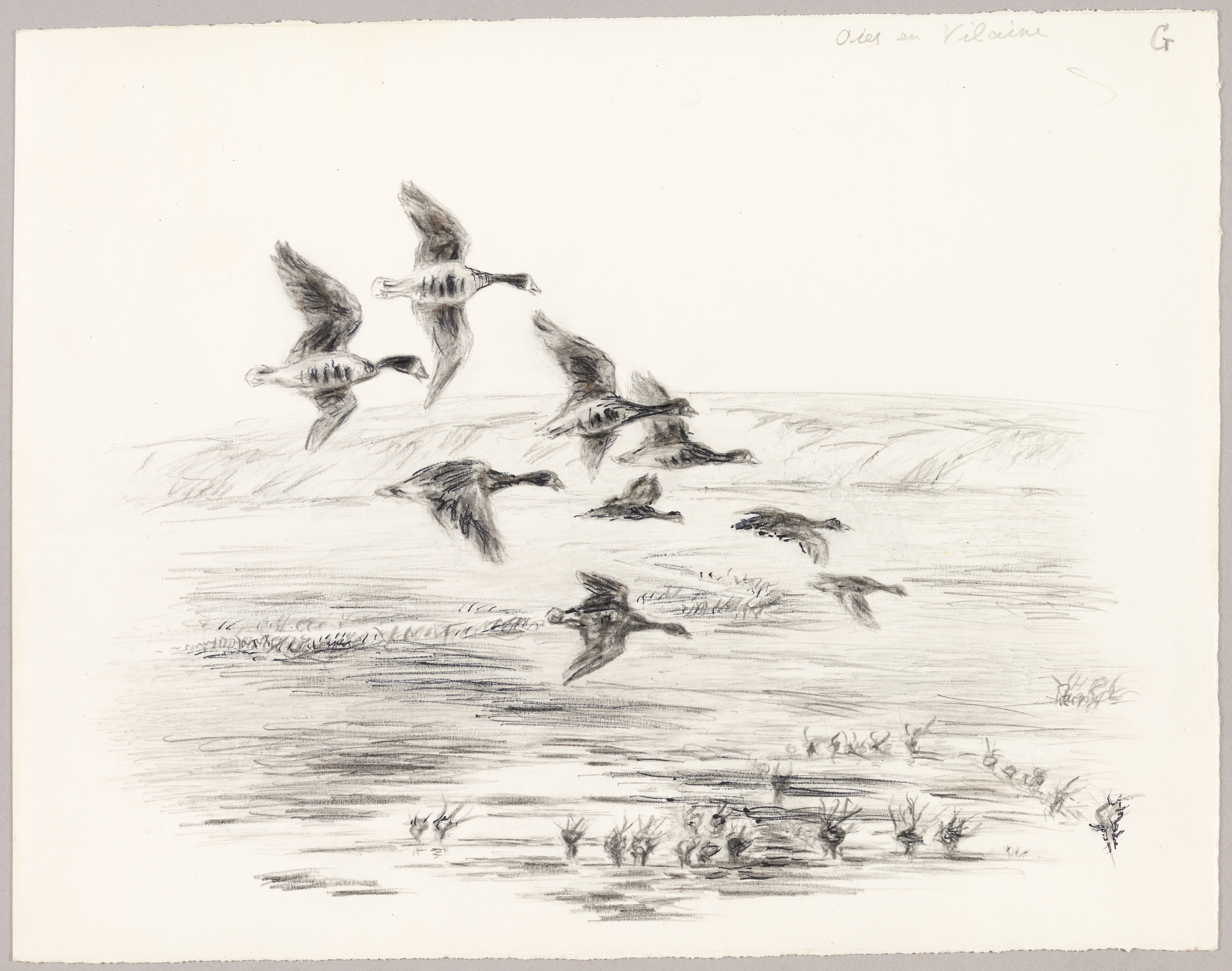 Oies en Vilaine, Henri de Parceveaux, 20e siècle