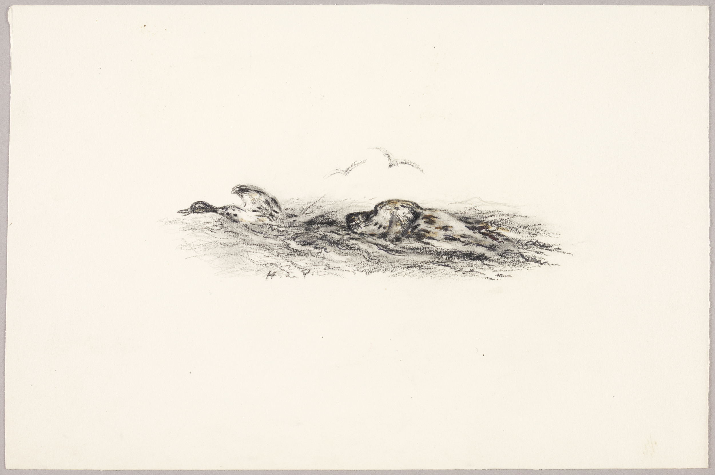Chien et canard dans l'eau, Henri de Parceveaux, 20e siècle