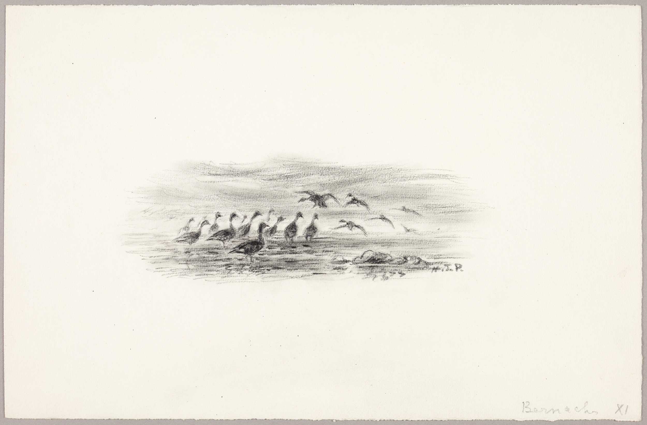 Bernaches, Henri de Parceveaux, 20e siècle