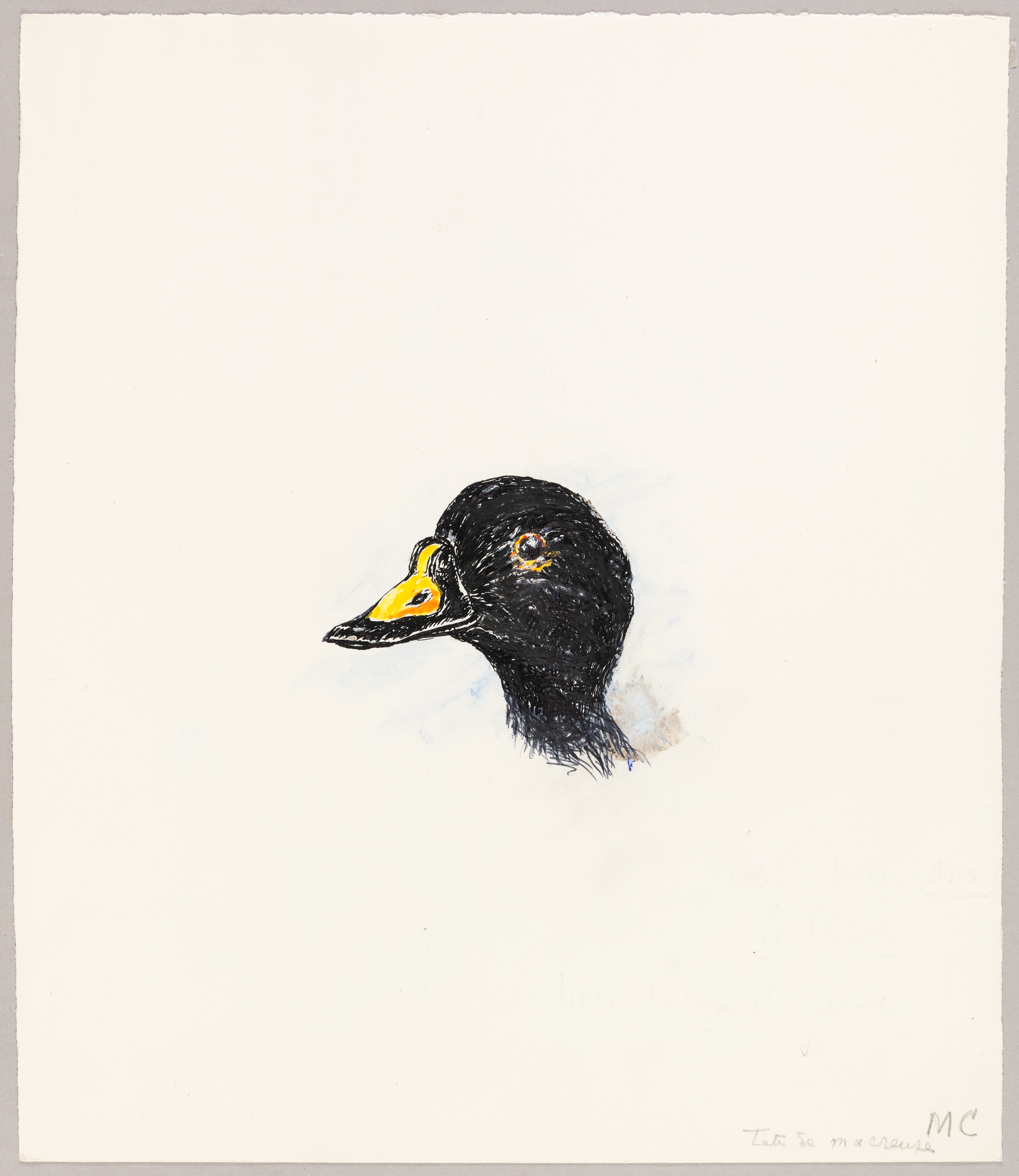Tête de macreuse, Henri de Parceveaux, 20e siècle
