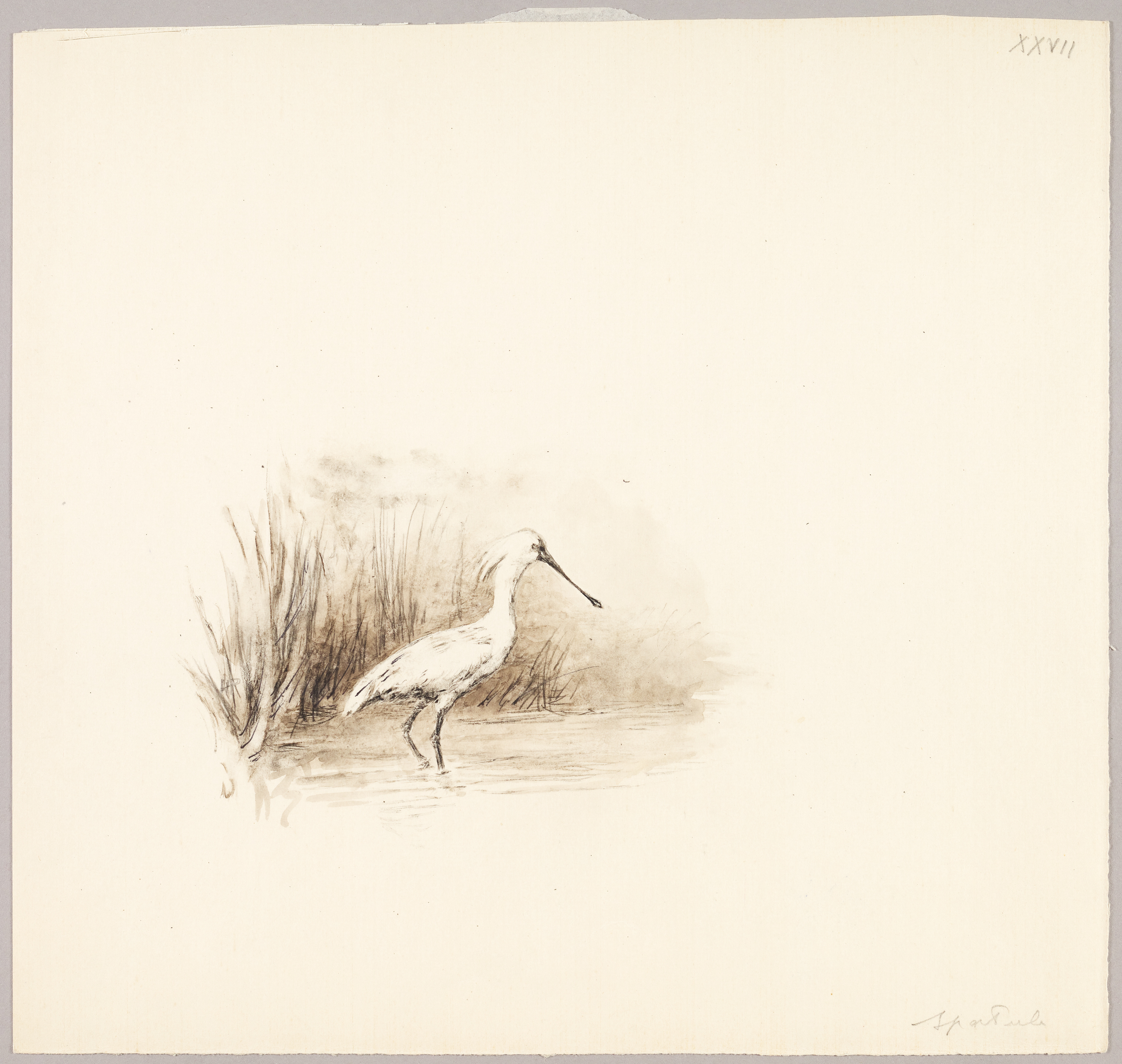 Spatule, Henri de Parceveaux, 20e siècle
