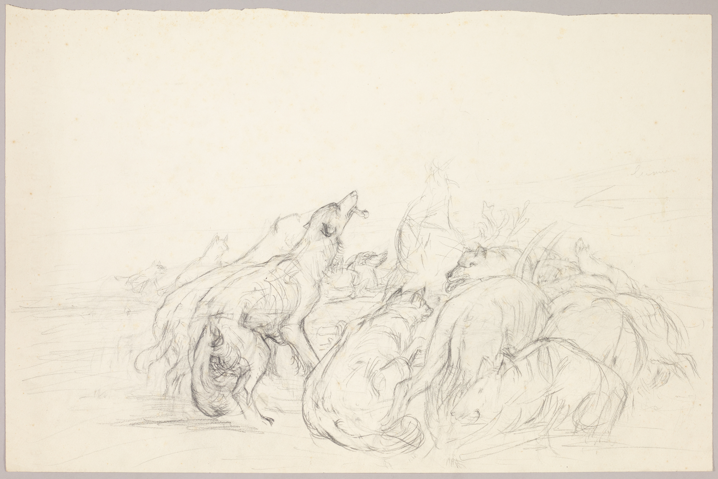 Horde de loups, étude, Henri de Parceveaux, 20e siècle