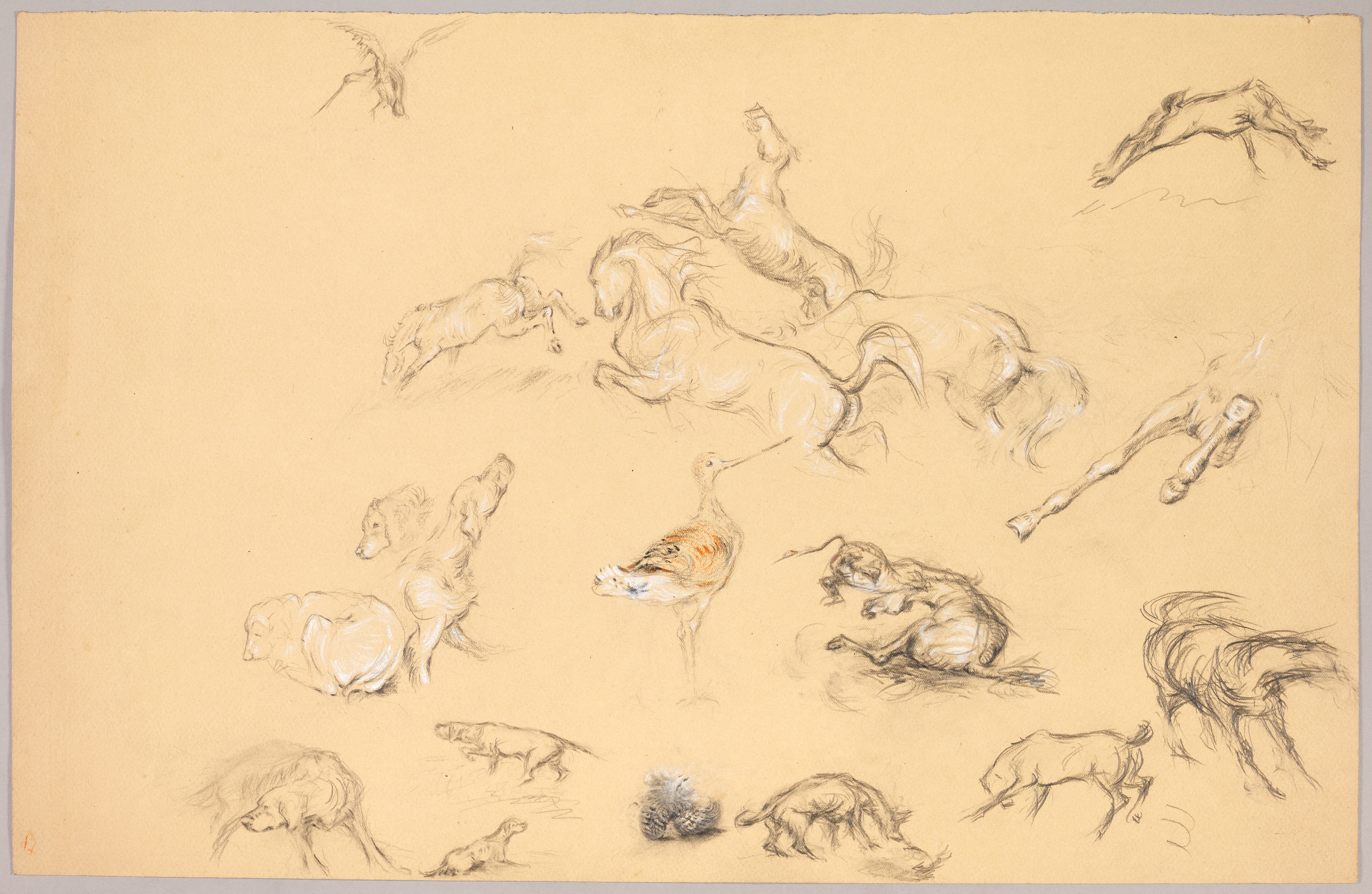 Etudes : oiseaux, chevaux, chiens.., Henri de Parceveaux, 20e siècle