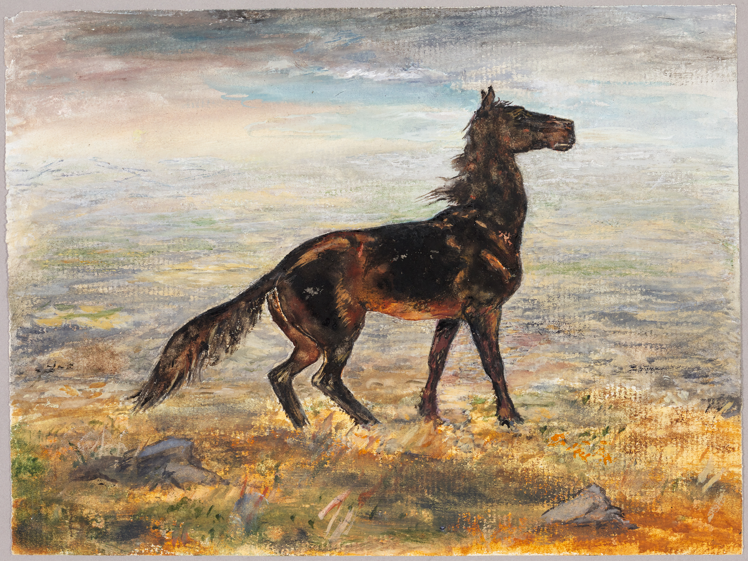Cheval, Henri de Parceveaux, 20e siècle