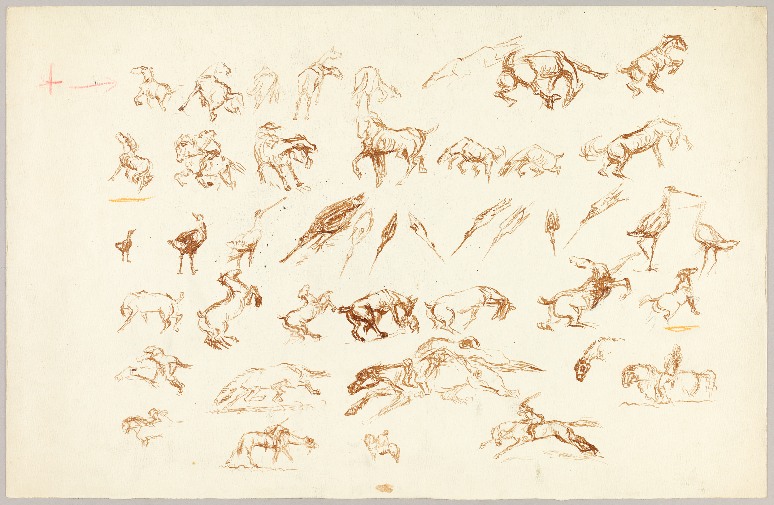 Etudes : chevaux, Henri de Parceveaux, 20e siècle