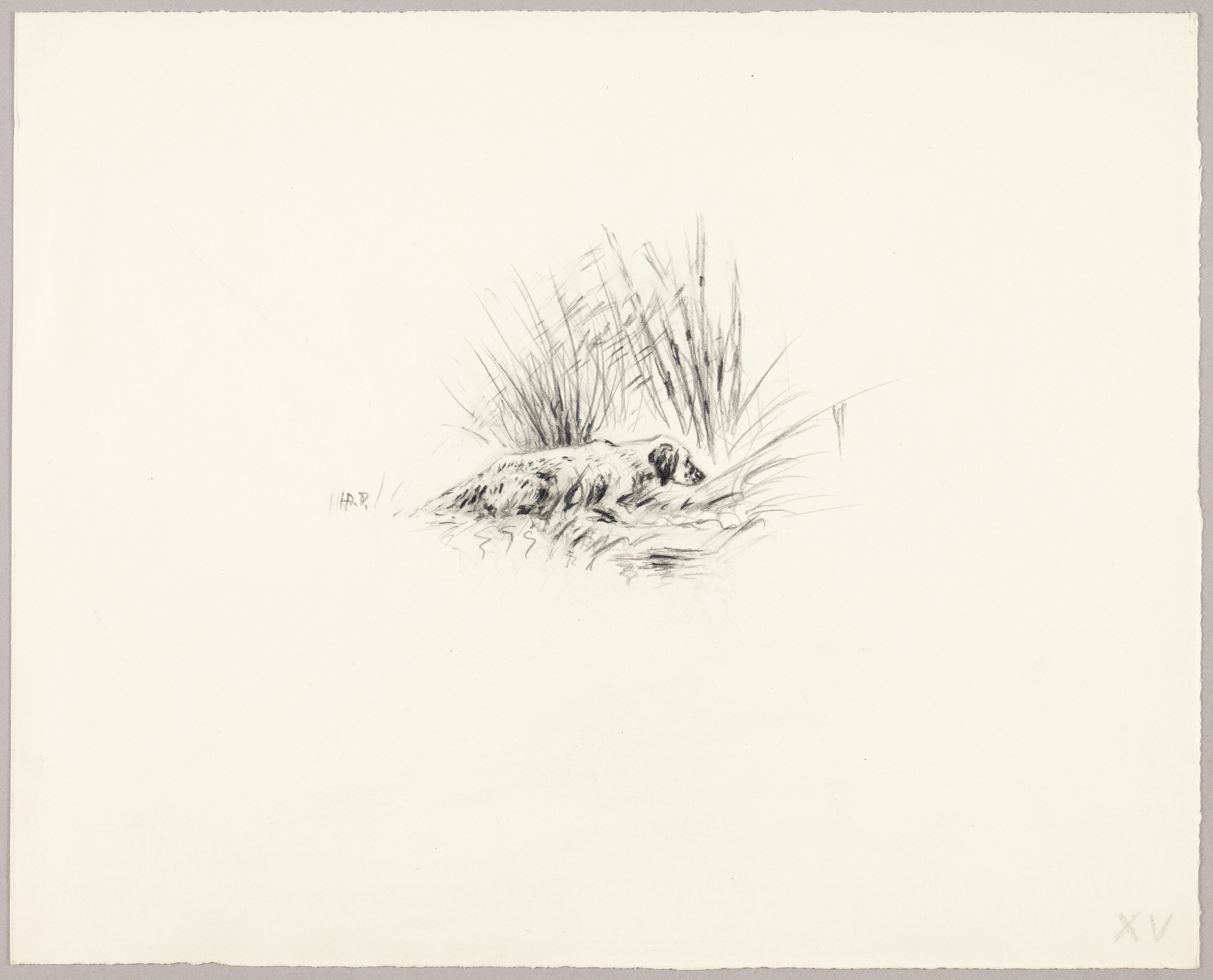 Chien dans les roseaux, Henri de Parceveaux, 20e siècle