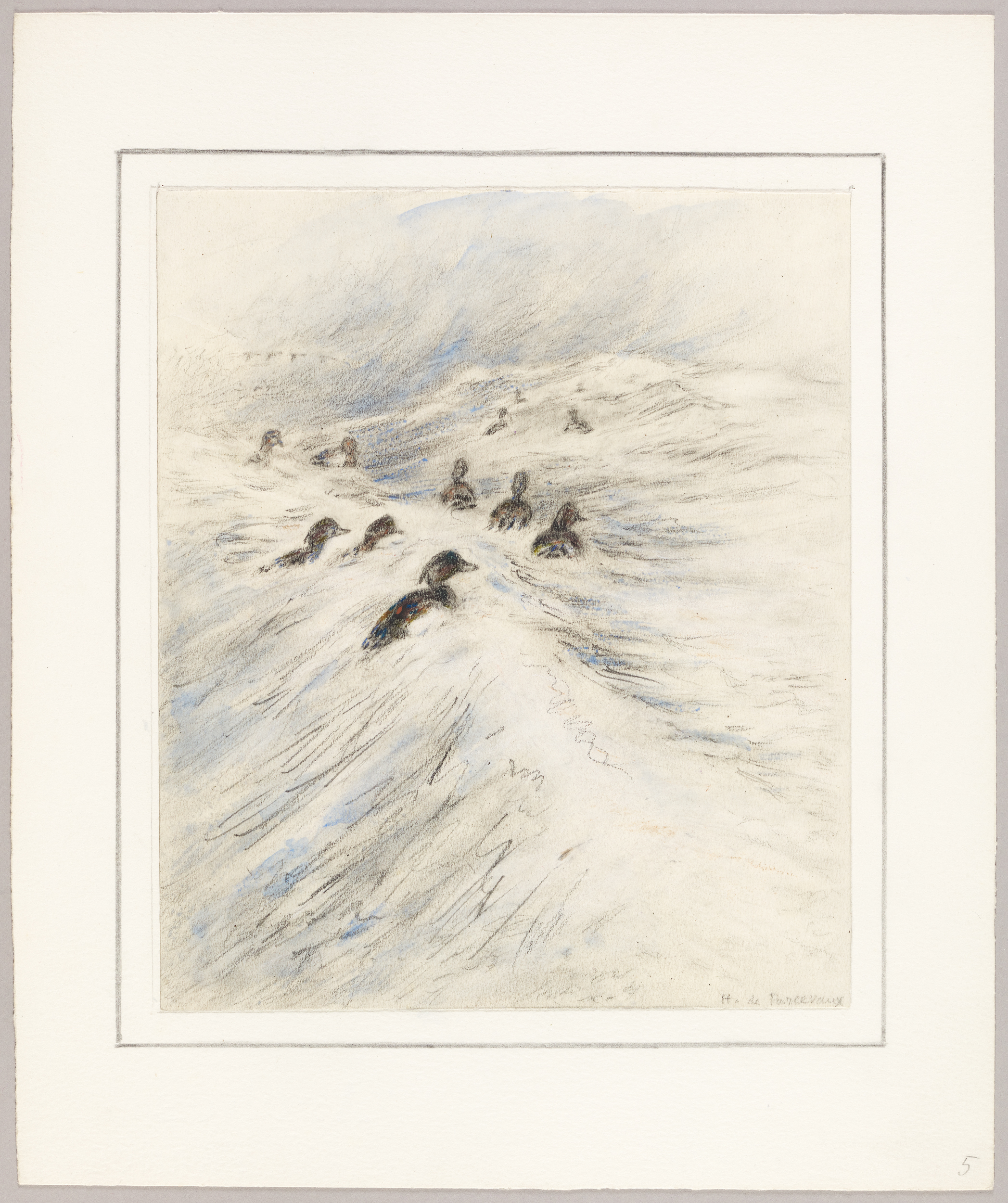 Canards, Henri de Parceveaux, 20e siècle