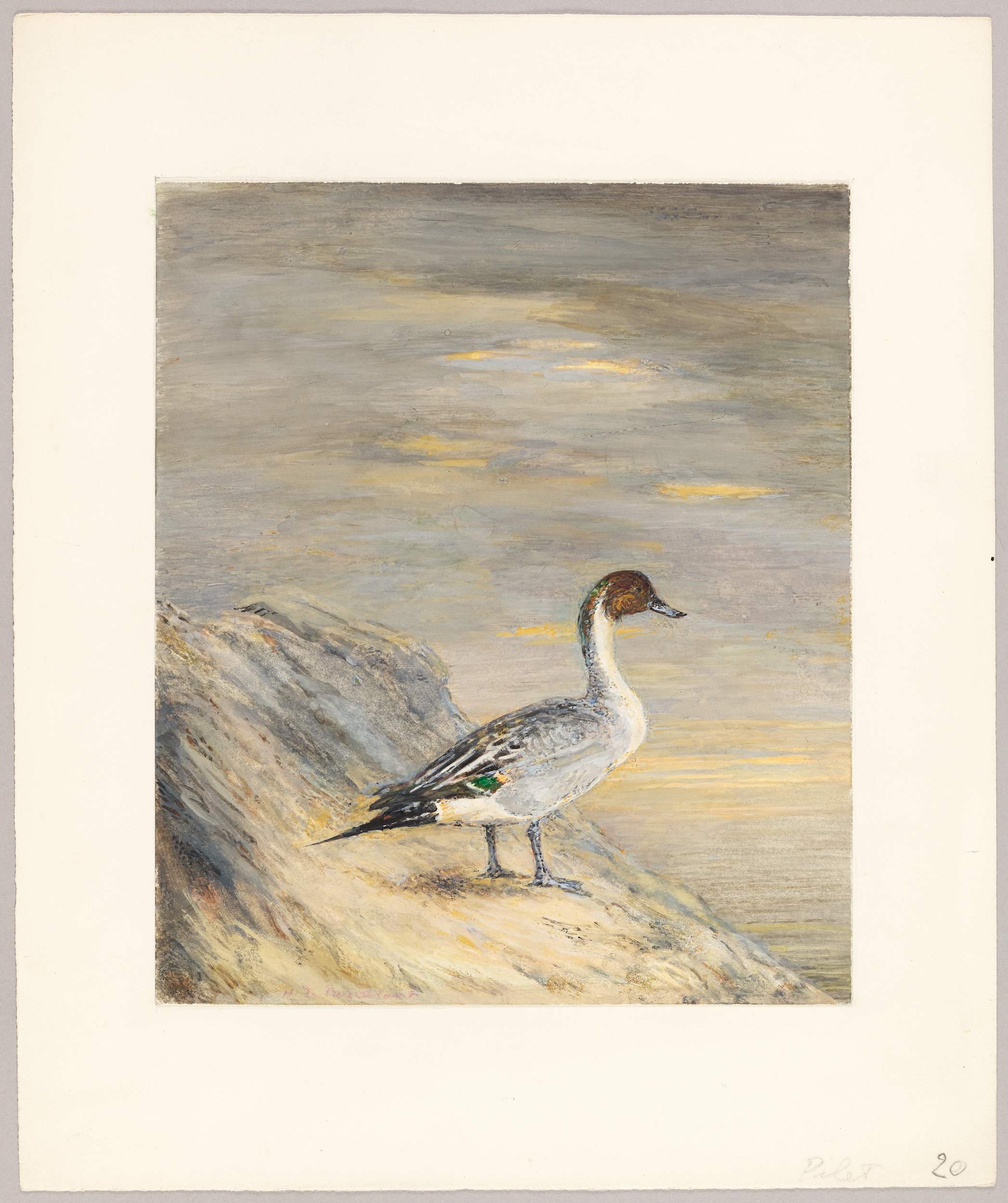 Pilet, Henri de Parceveaux, 20e siècle