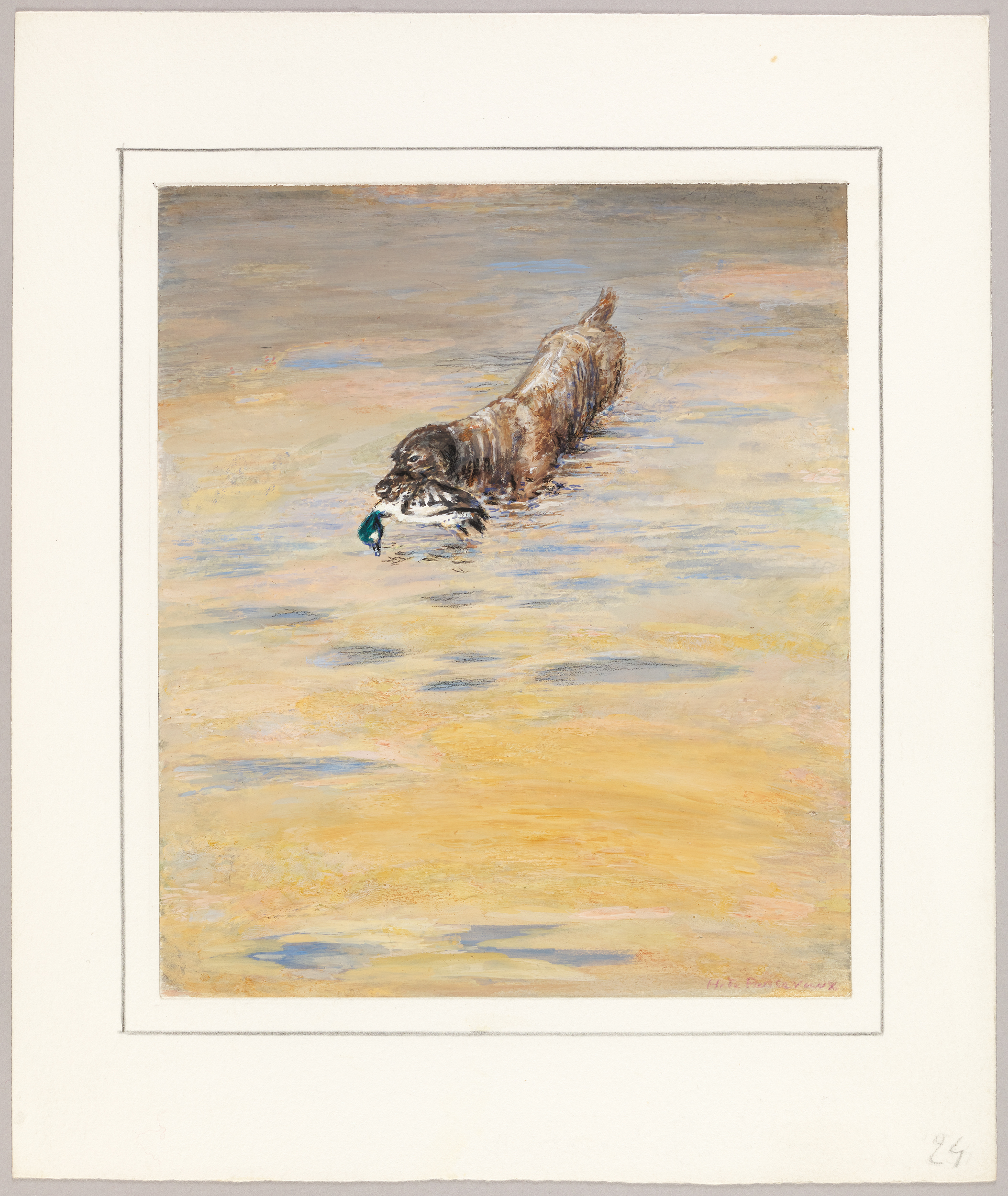 Chien et sa proie : colvert, Henri de Parceveaux, 20e siècle