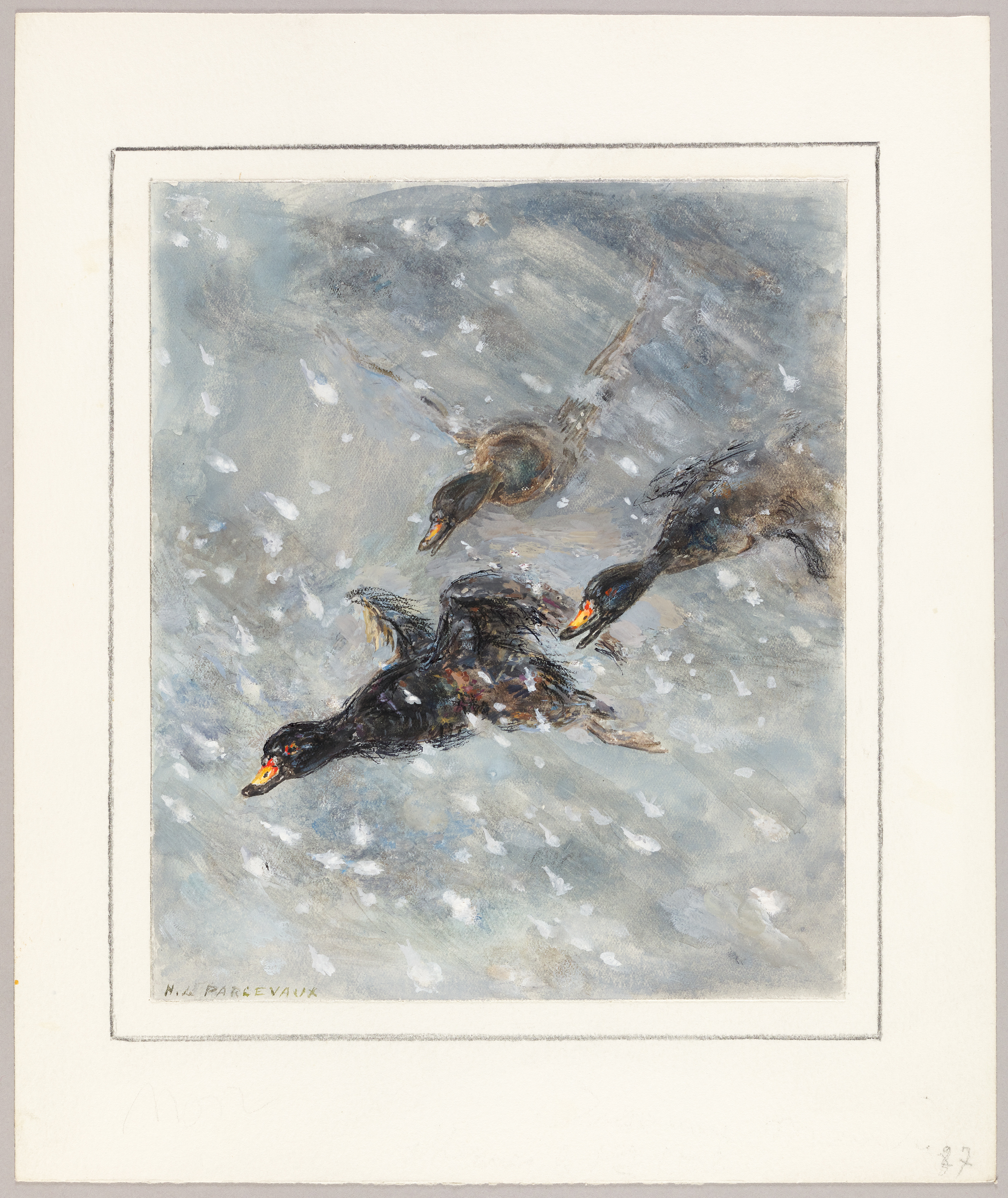 Envol de canards-Macreuses, Henri de Parceveaux, 20e siècle