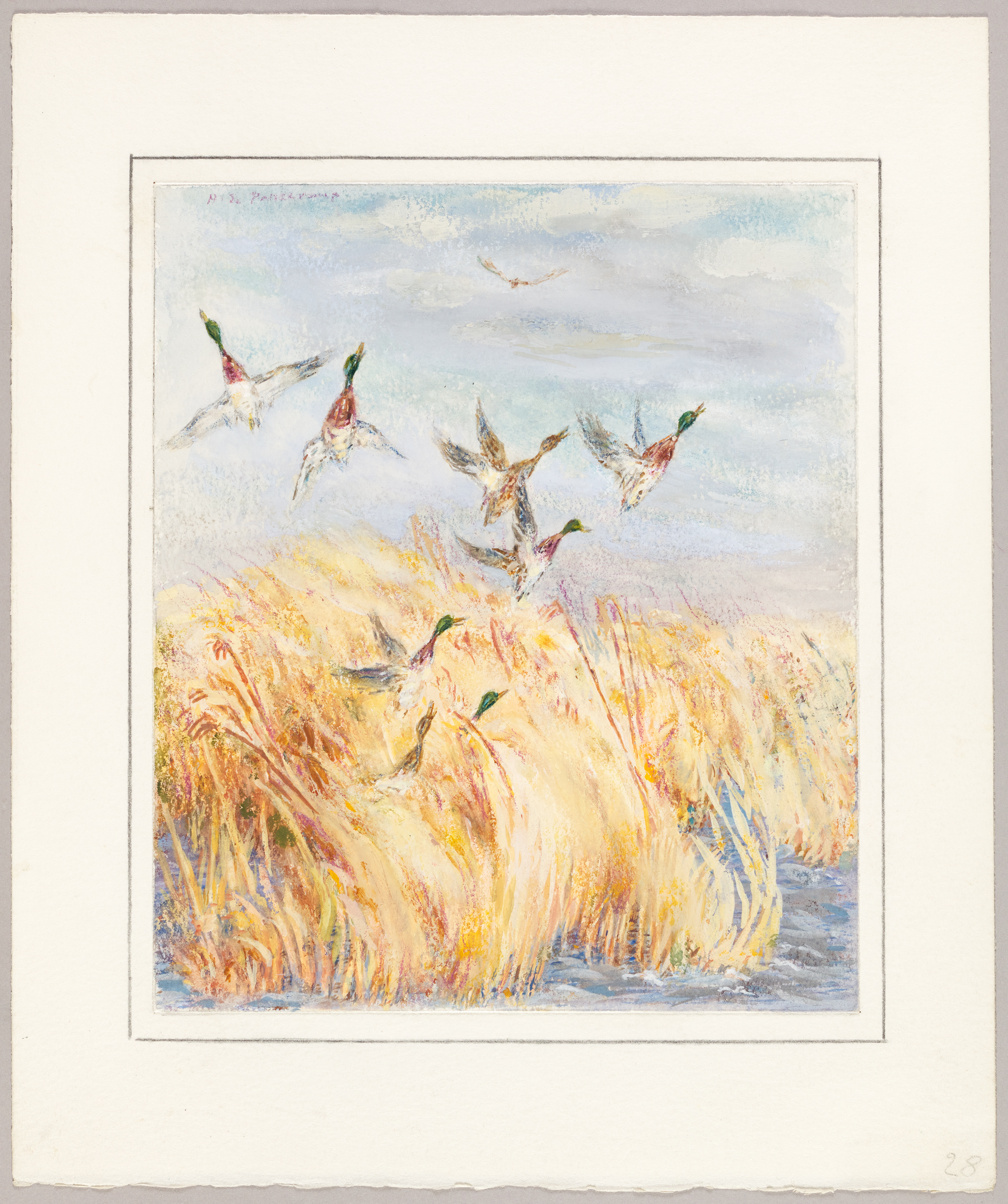 Essor de canards, Henri de Parceveaux, 20e siècle
