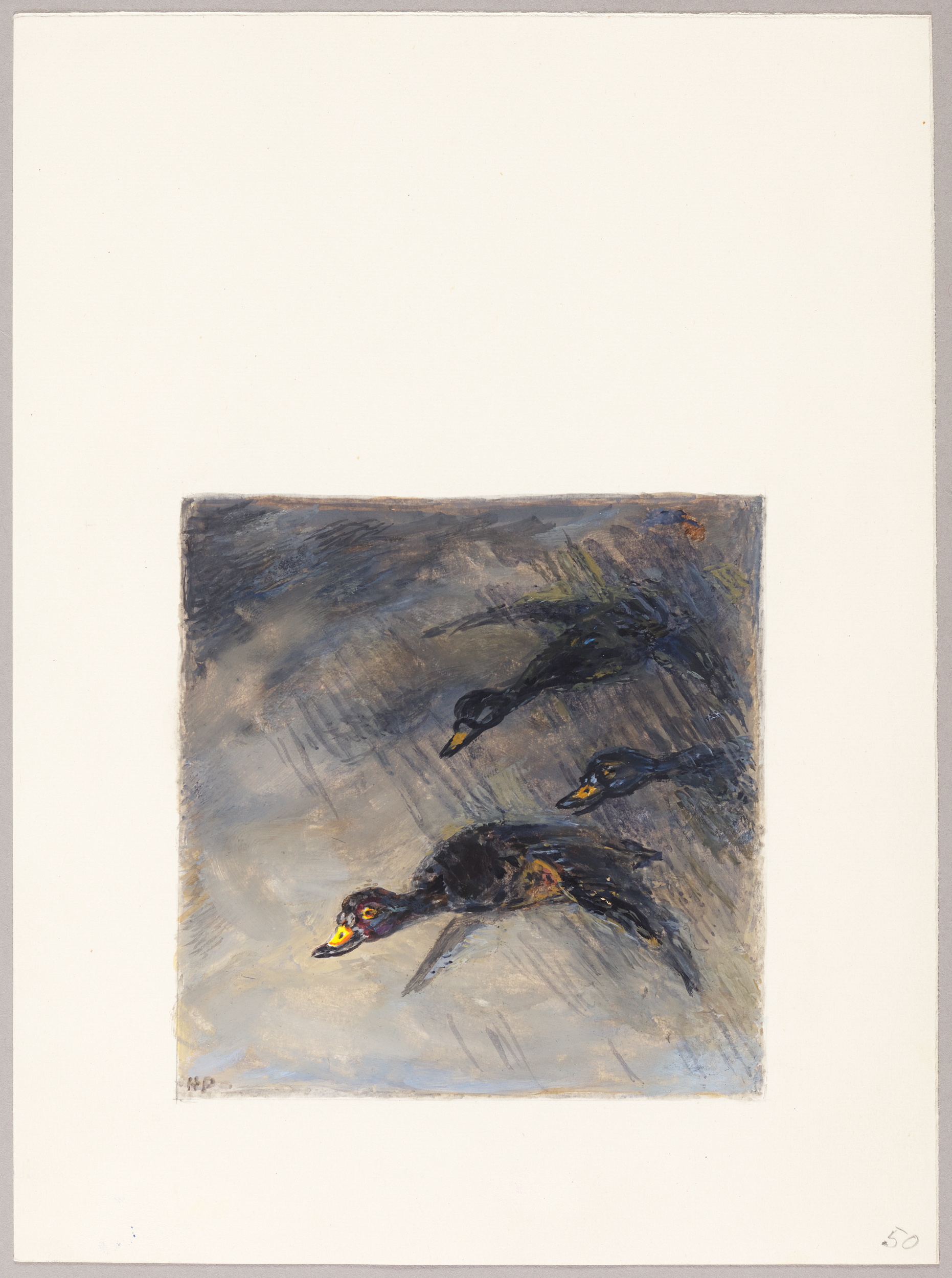 Canards -Macreuses- en noir, Henri de Parceveaux, 20e siècle