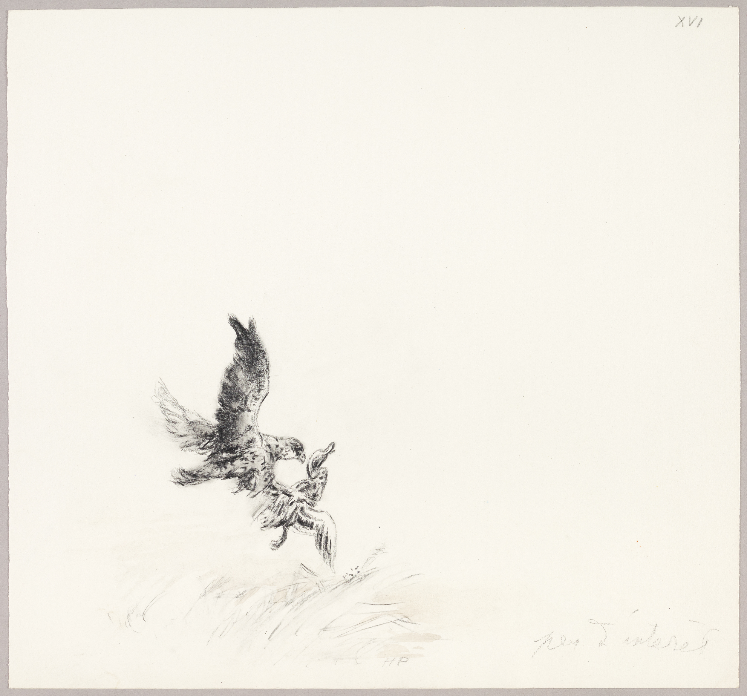 Rapace et canard, Henri de Parceveaux, 20e siècle