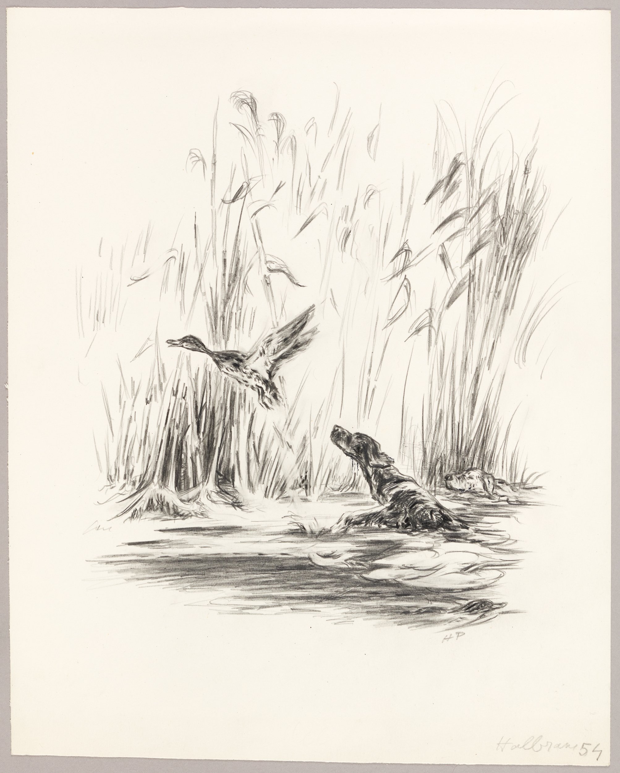 Halbrans, Henri de Parceveaux, 20e siècle