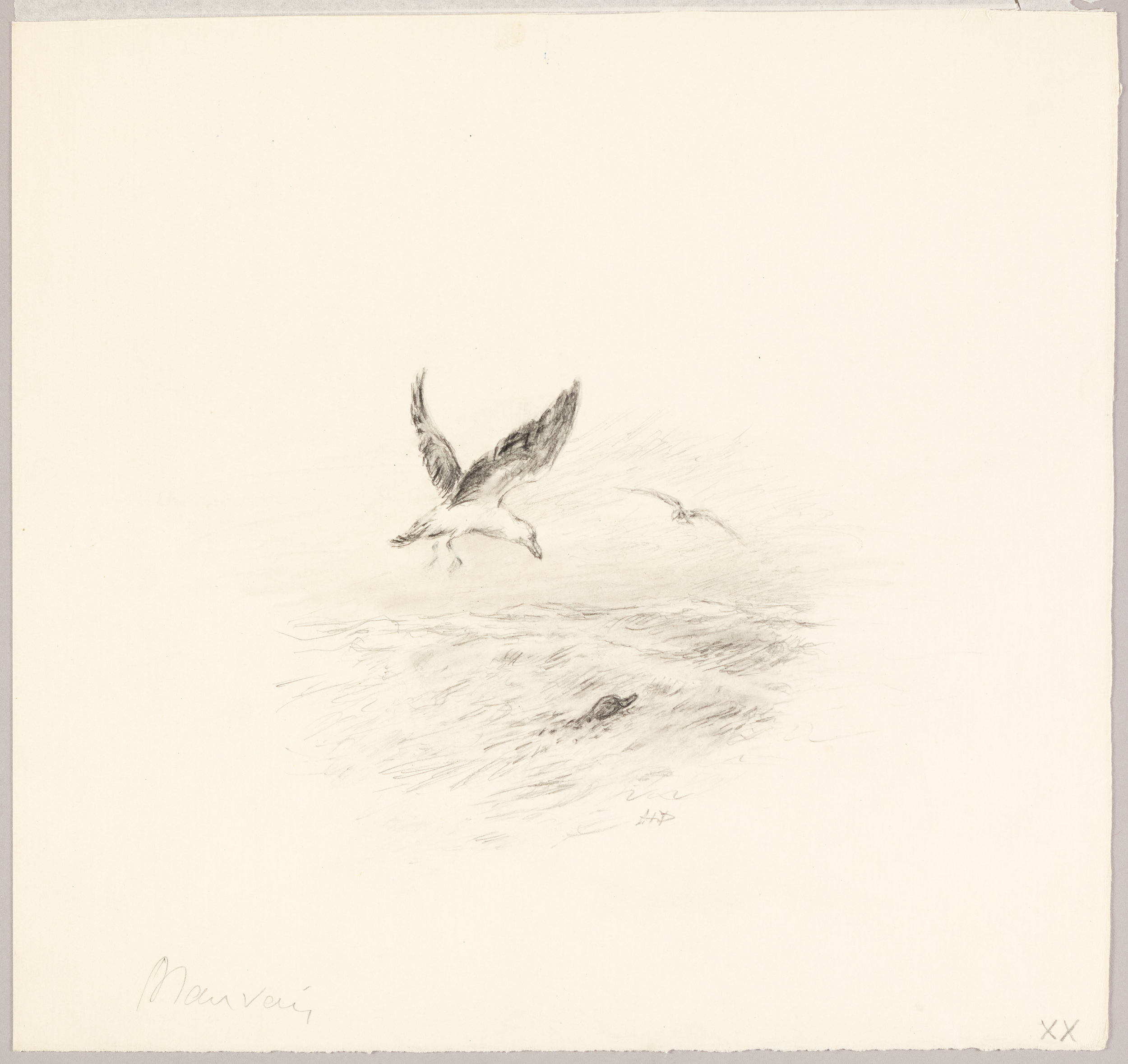 Goëland, Henri de Parceveaux, 20e siècle