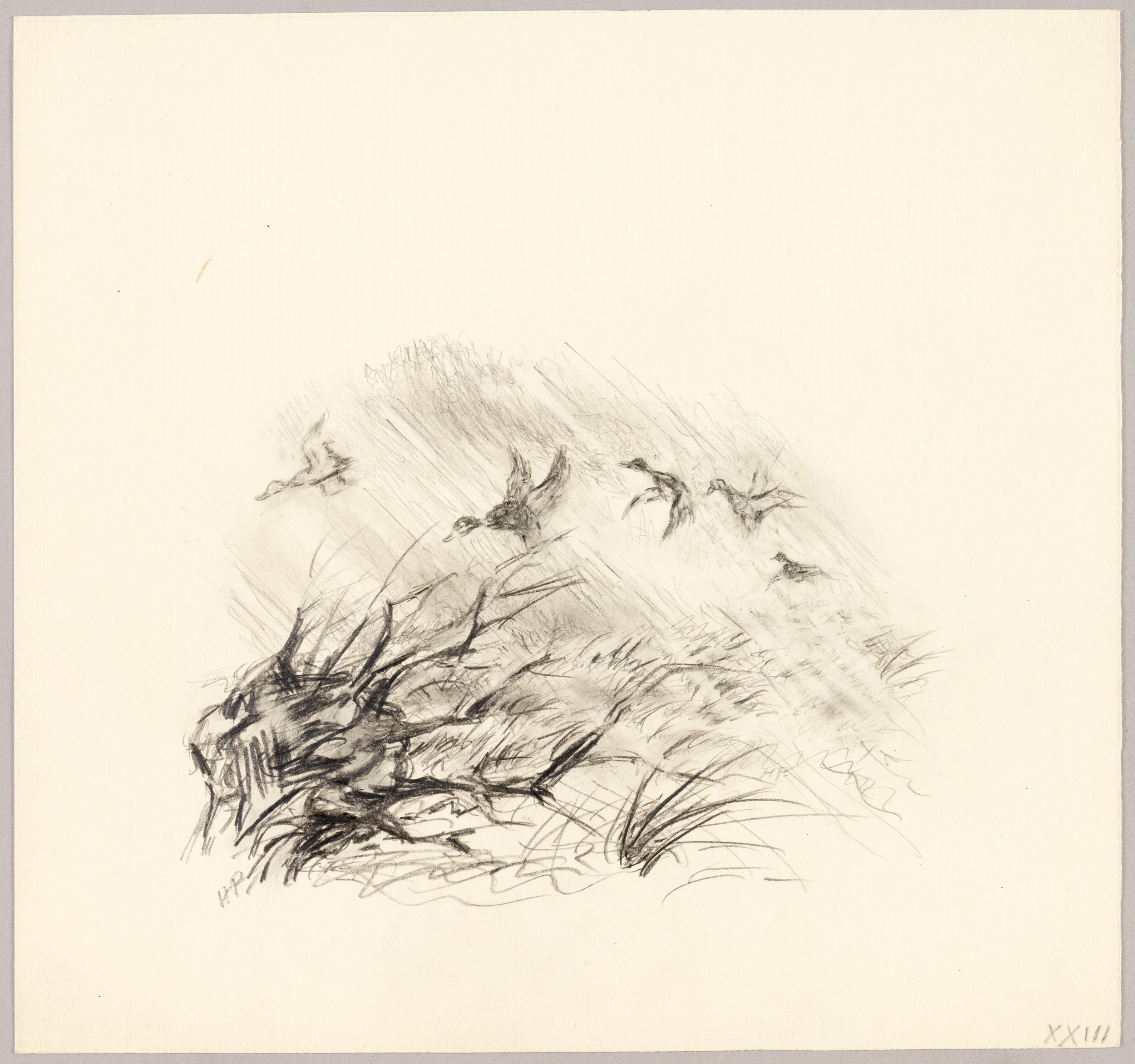 Canards en vol, Henri de Parceveaux, 20e siècle