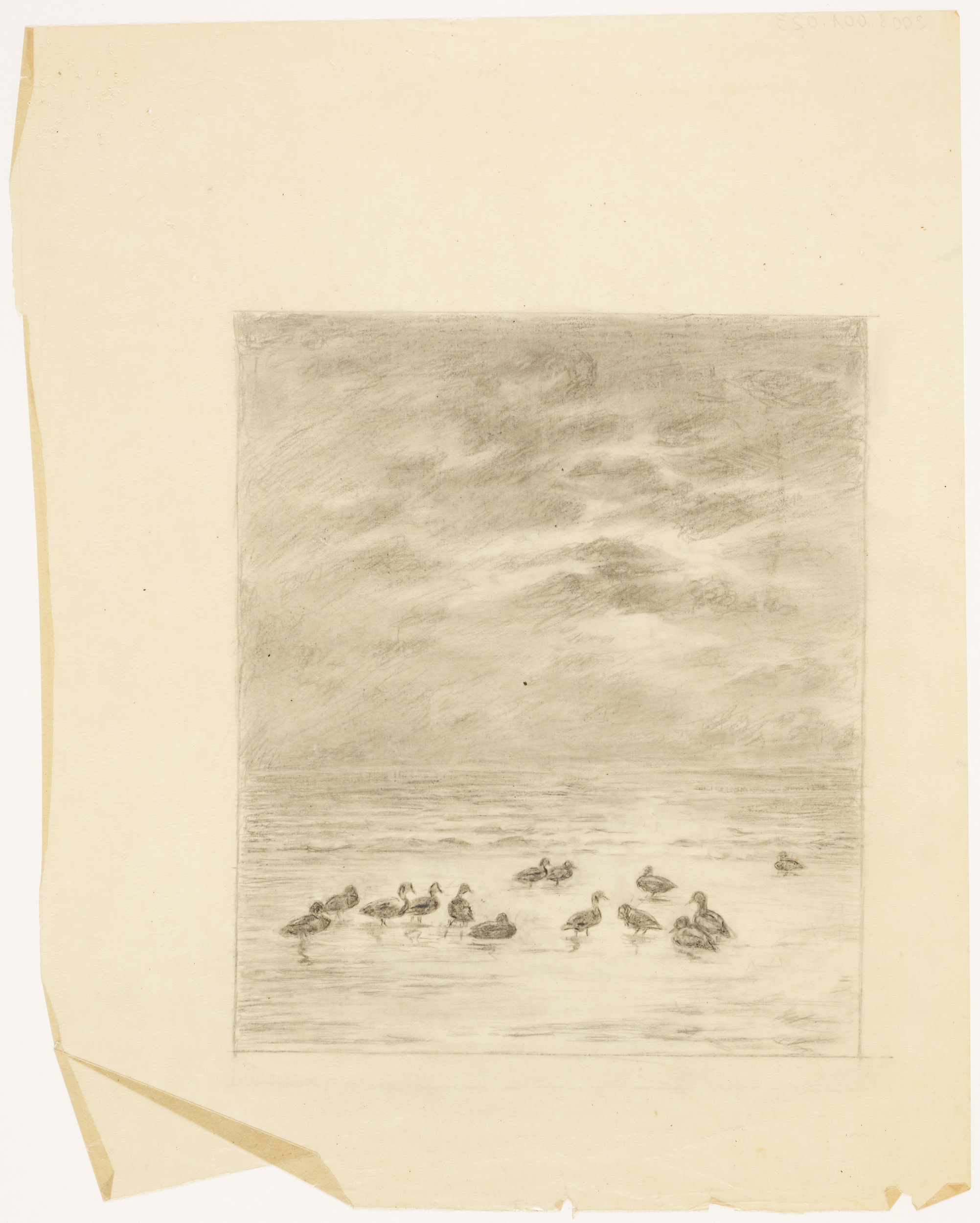 14 canards sur l'eau, Henri de Parceveaux, 20e siècle
