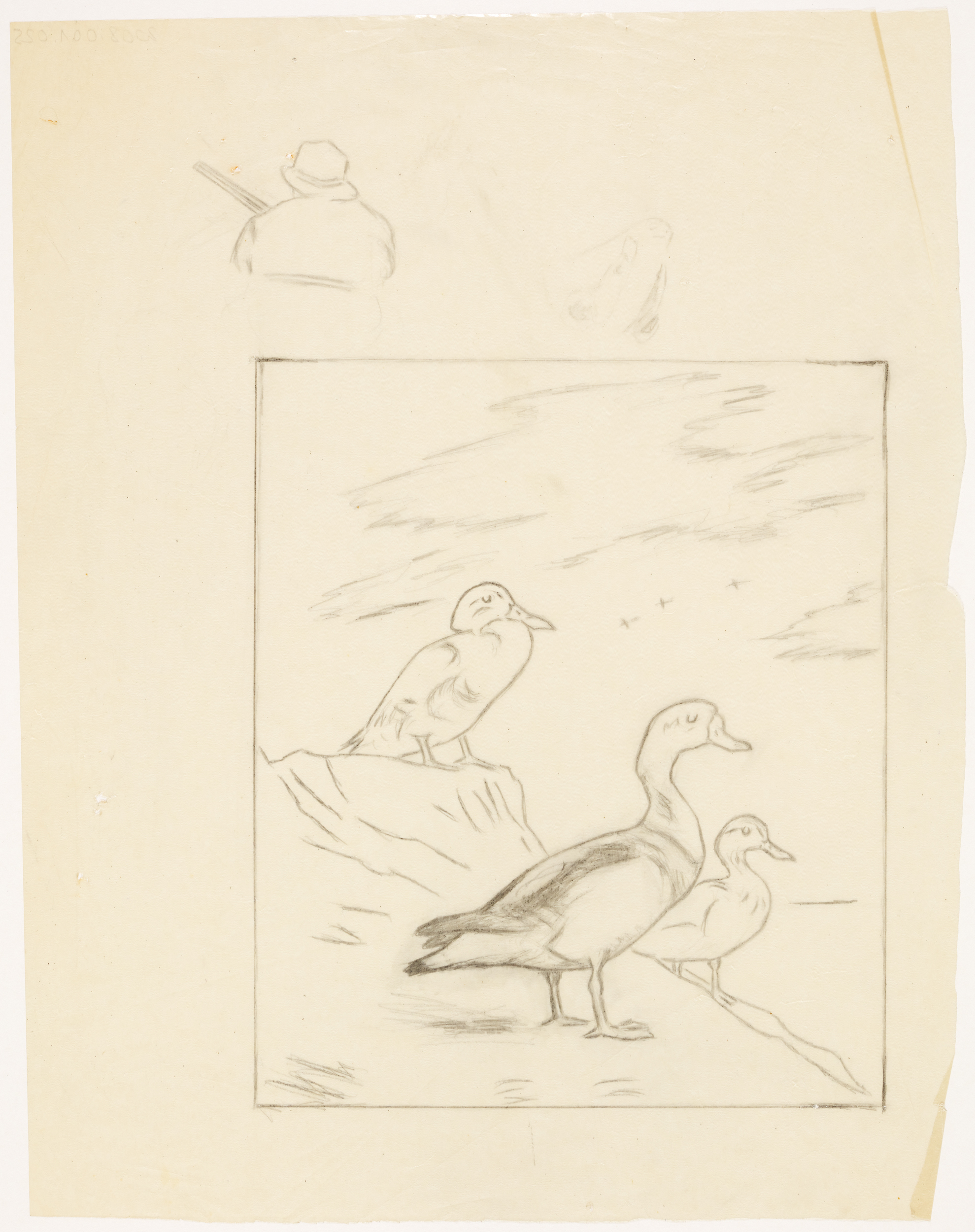 Etudes : canards, chasseur, Henri de Parceveaux, 20e siècle