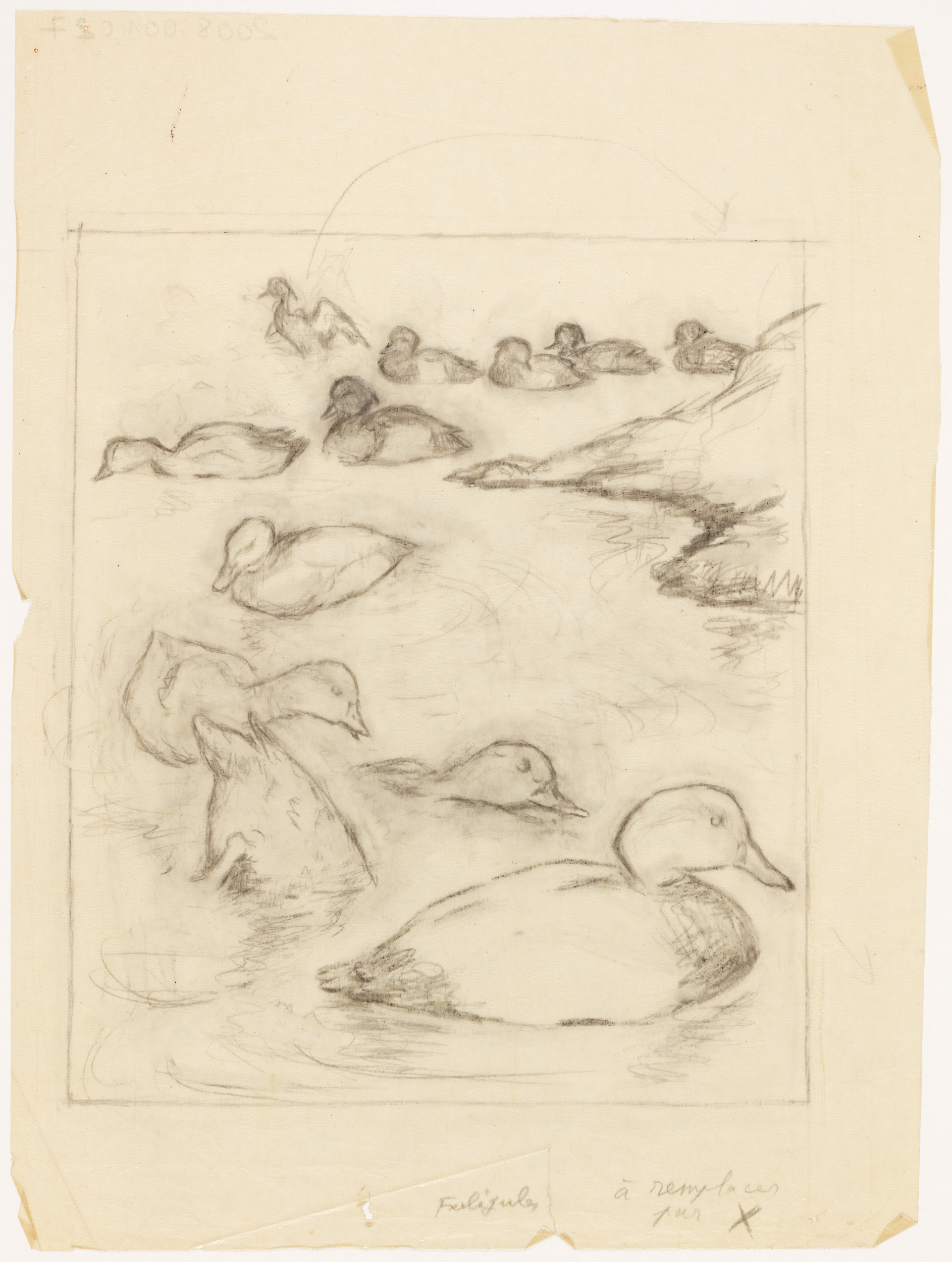Fuligules, Henri de Parceveaux, 20e siècle