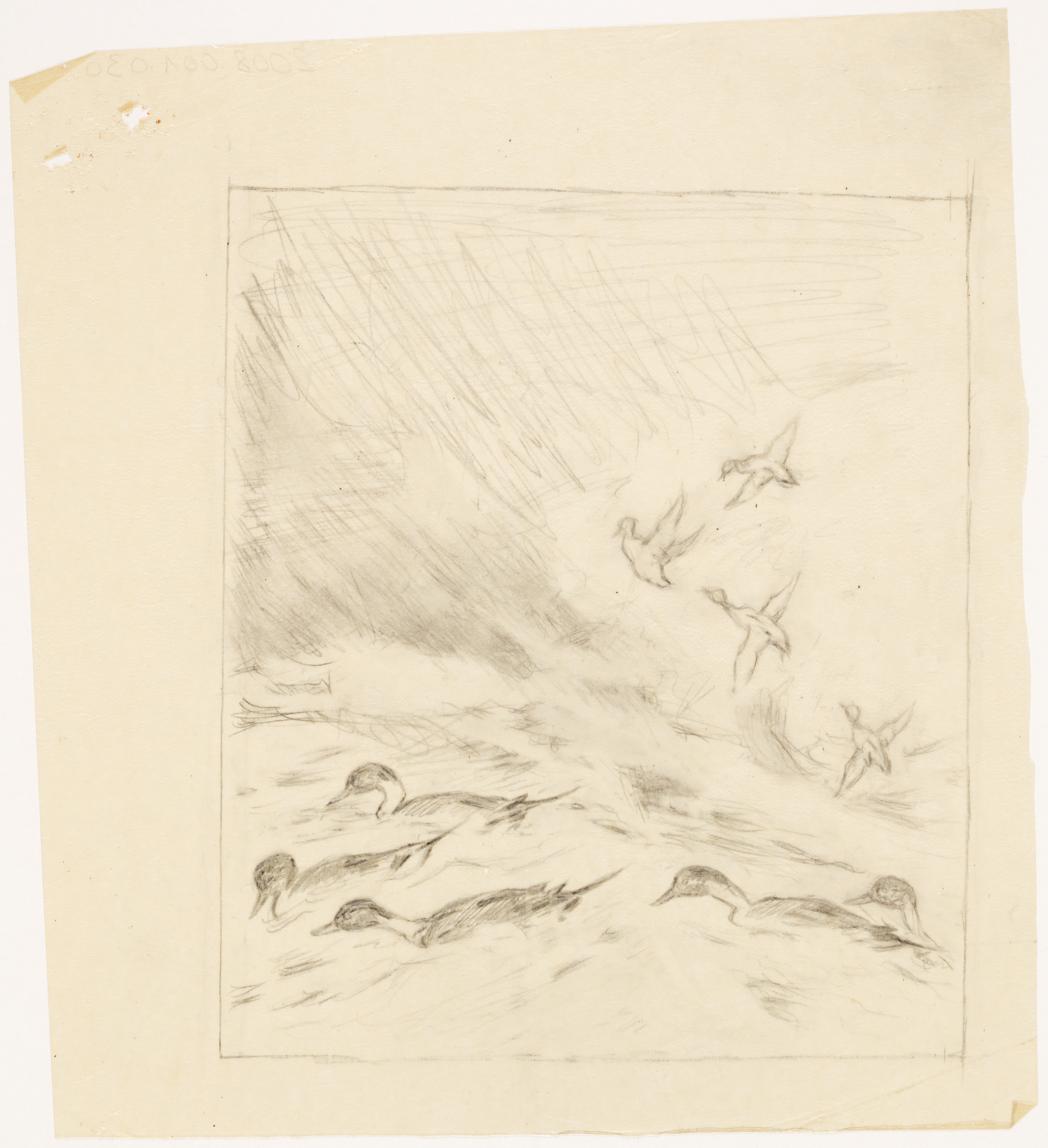 Oiseaux et canards, Henri de Parceveaux, 20e siècle