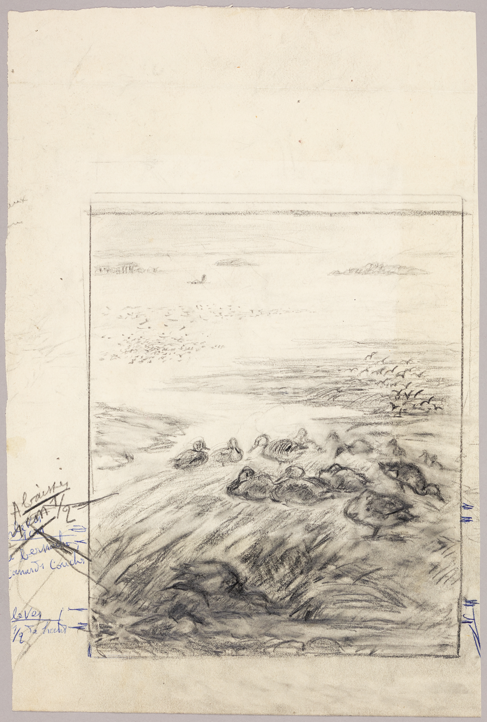 Canards, Henri de Parceveaux, 20e siècle