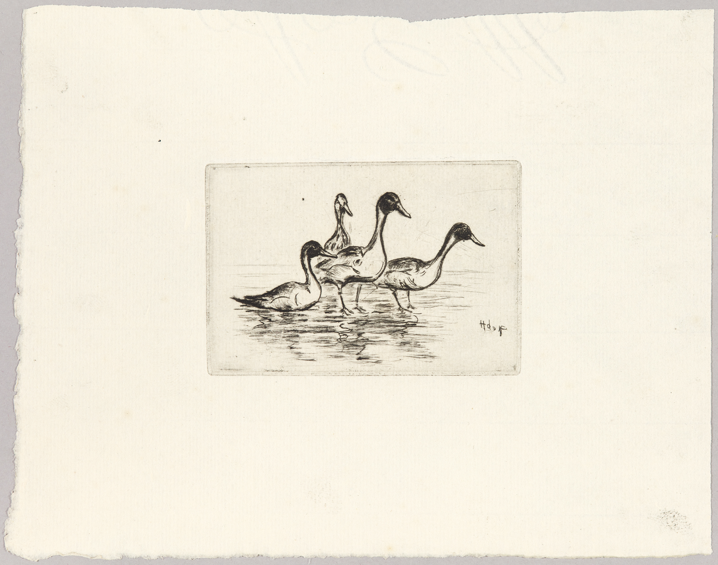 Quatre canards, Henri de Parceveaux, 20e siècle