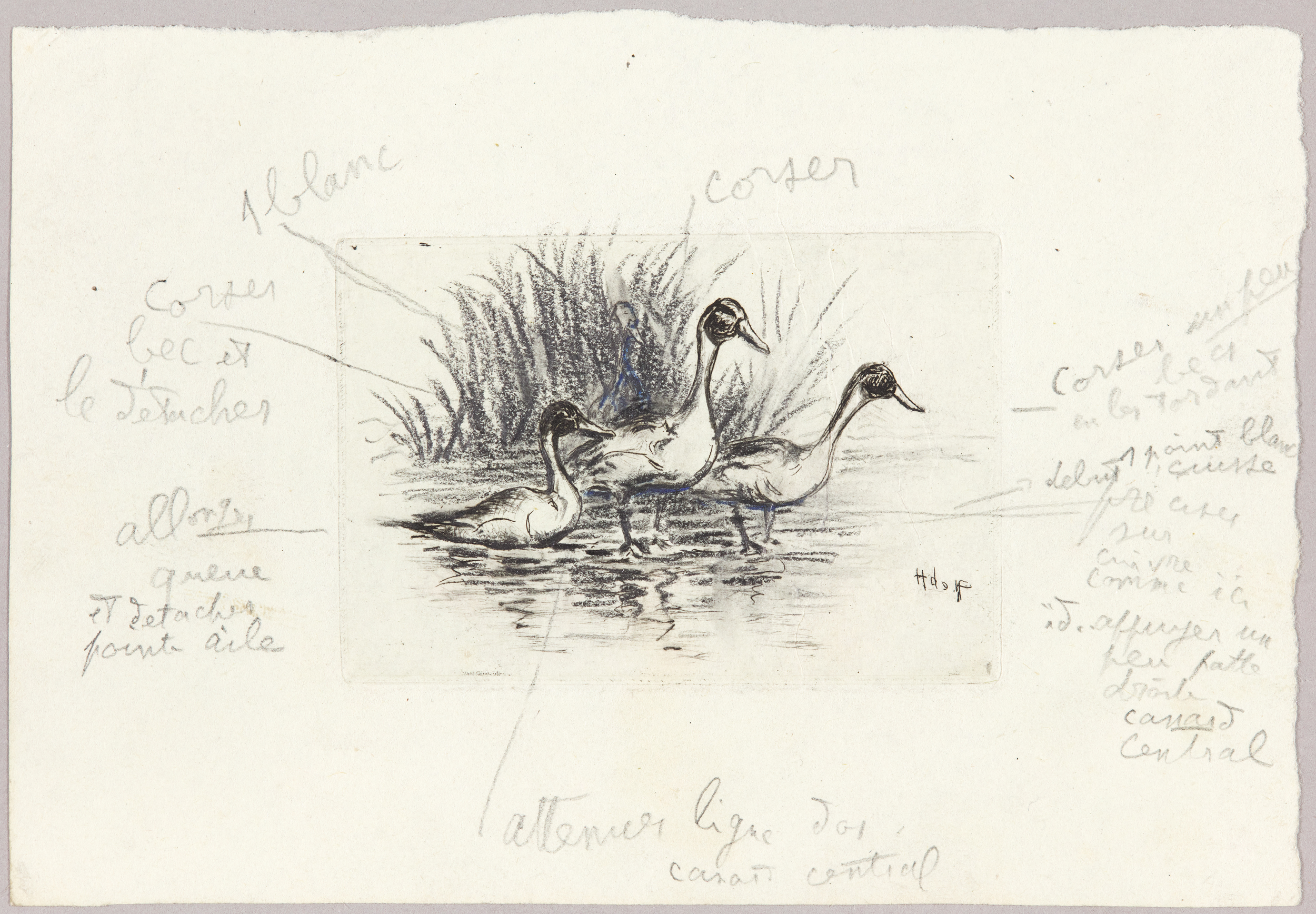 Trois canards, Henri de Parceveaux, 20e siècle