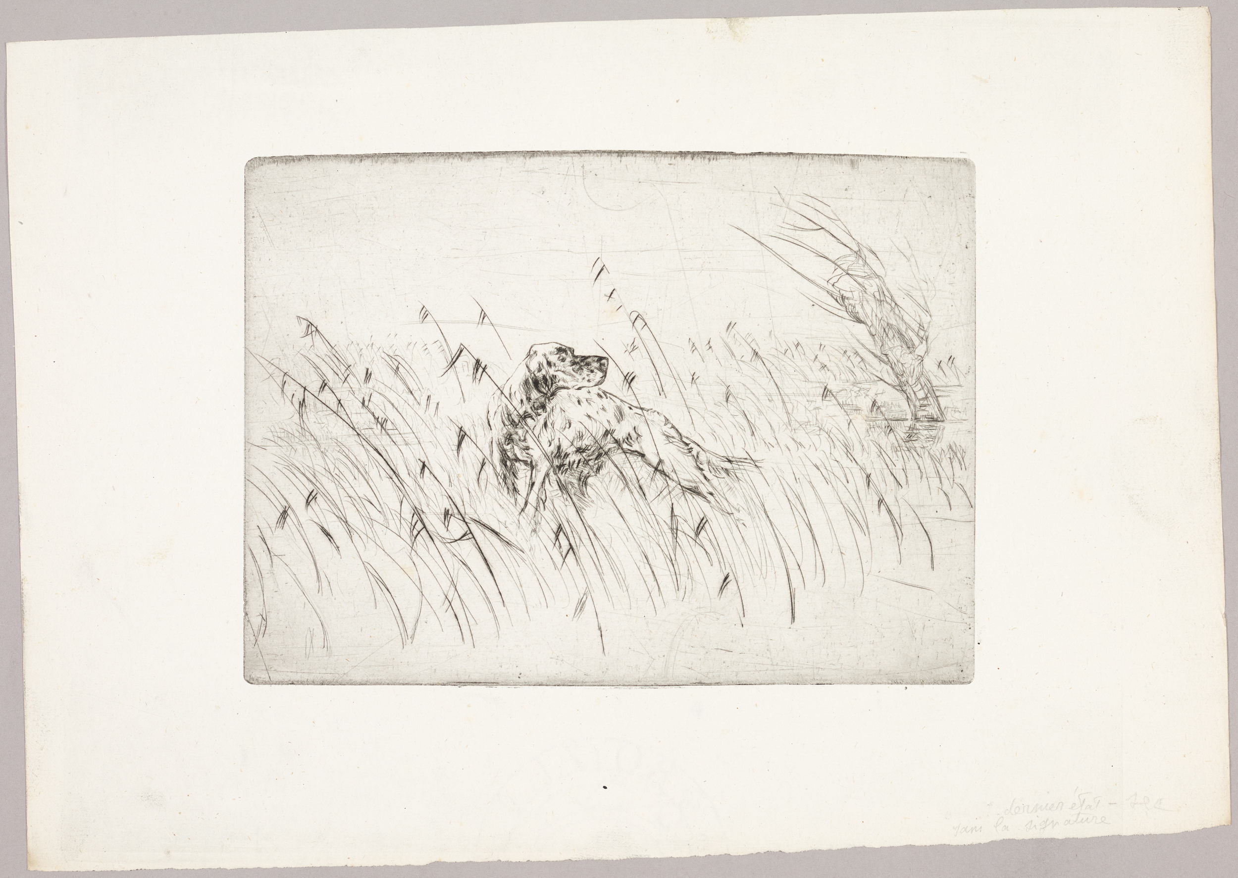 Chien, Henri de Parceveaux, 20e siècle