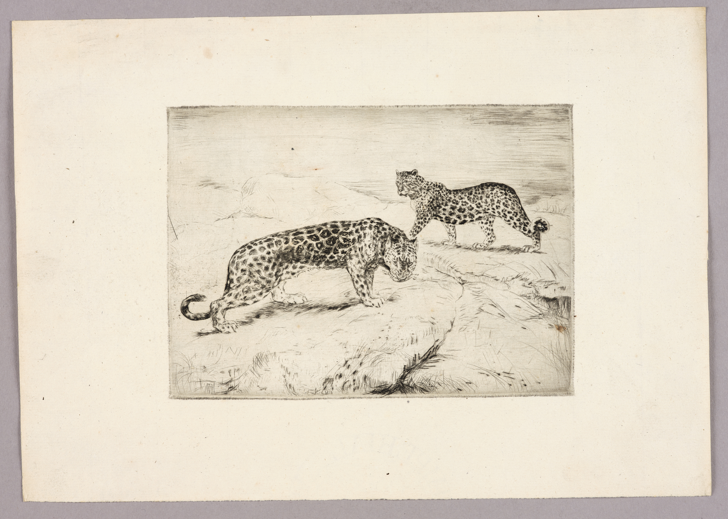Deux panthères, Henri de Parceveaux, 20e siècle