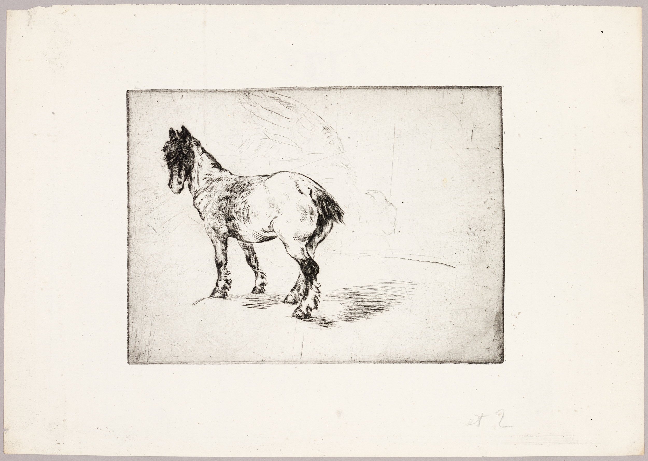 Cheval, Henri de Parceveaux, 20e siècle