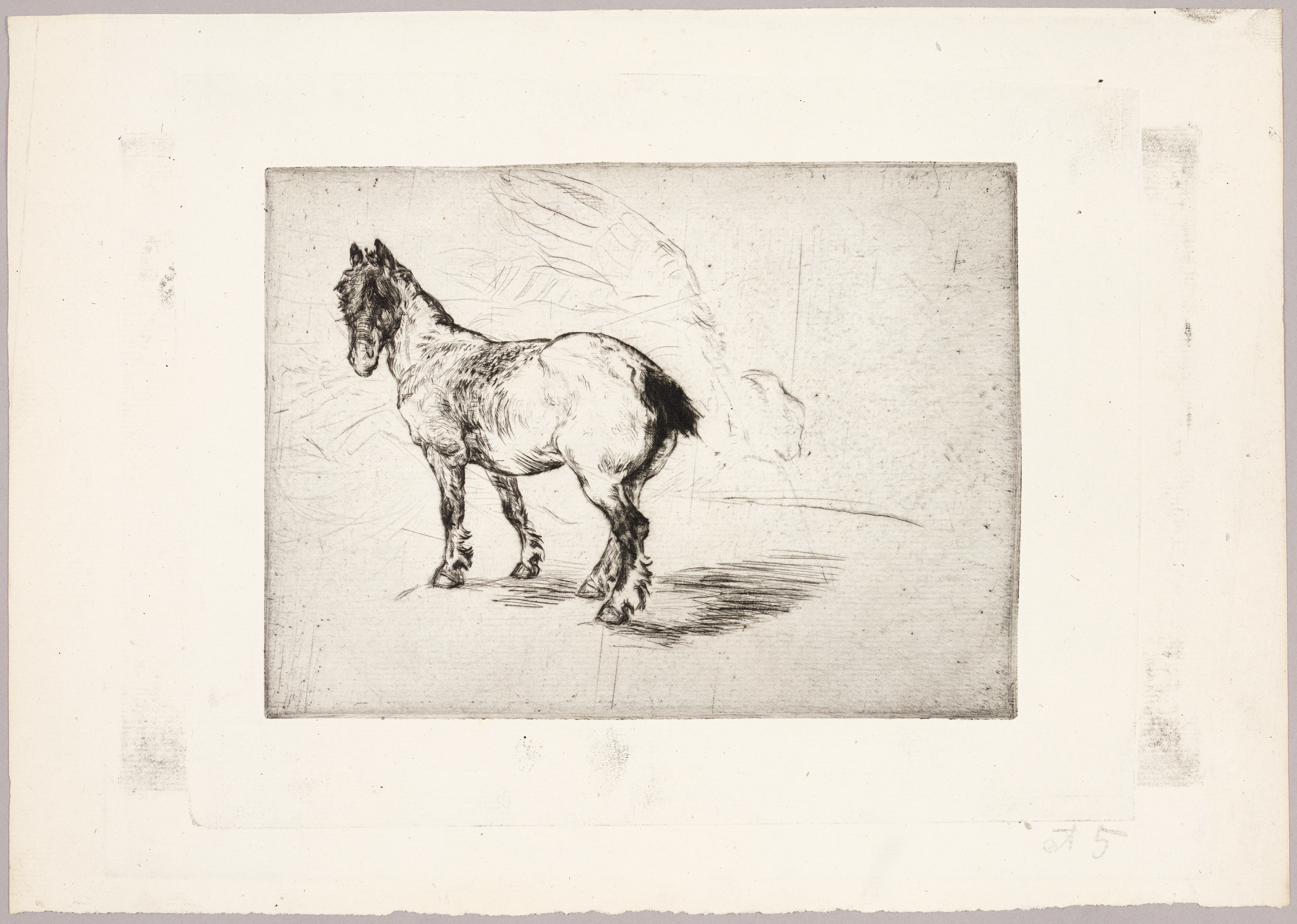 Cheval, Henri de Parceveaux, 20e siècle