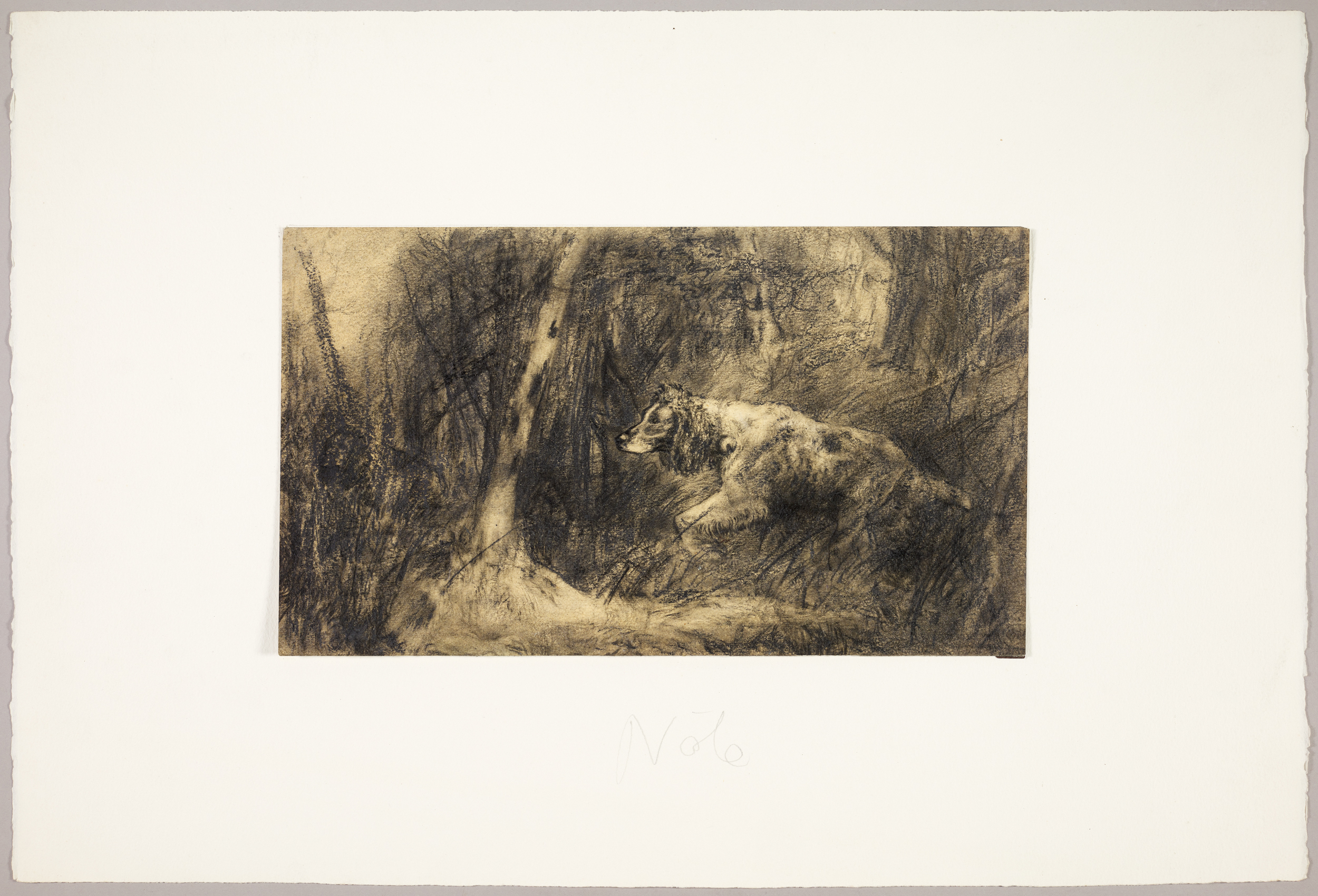 Chien de chasse, Henri de Parceveaux, 20e siècle