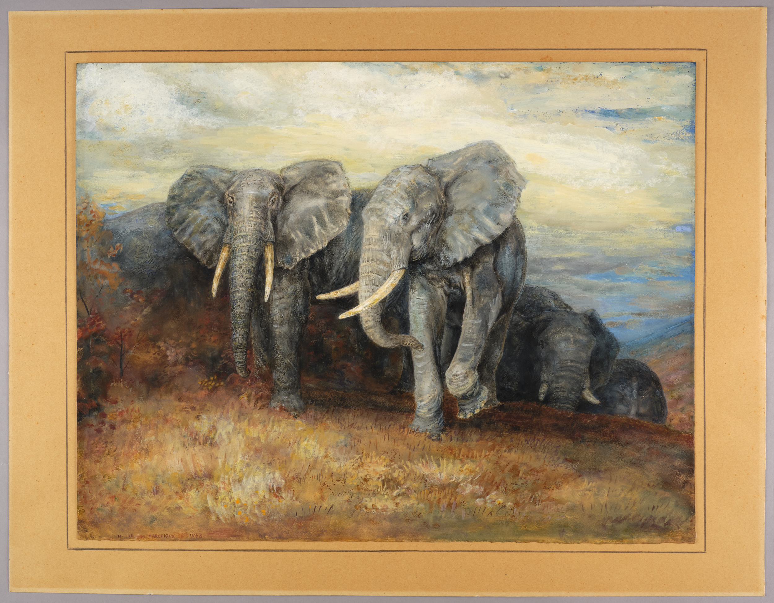 Troupeau d'éléphants, Henri de Parceveaux, 1948