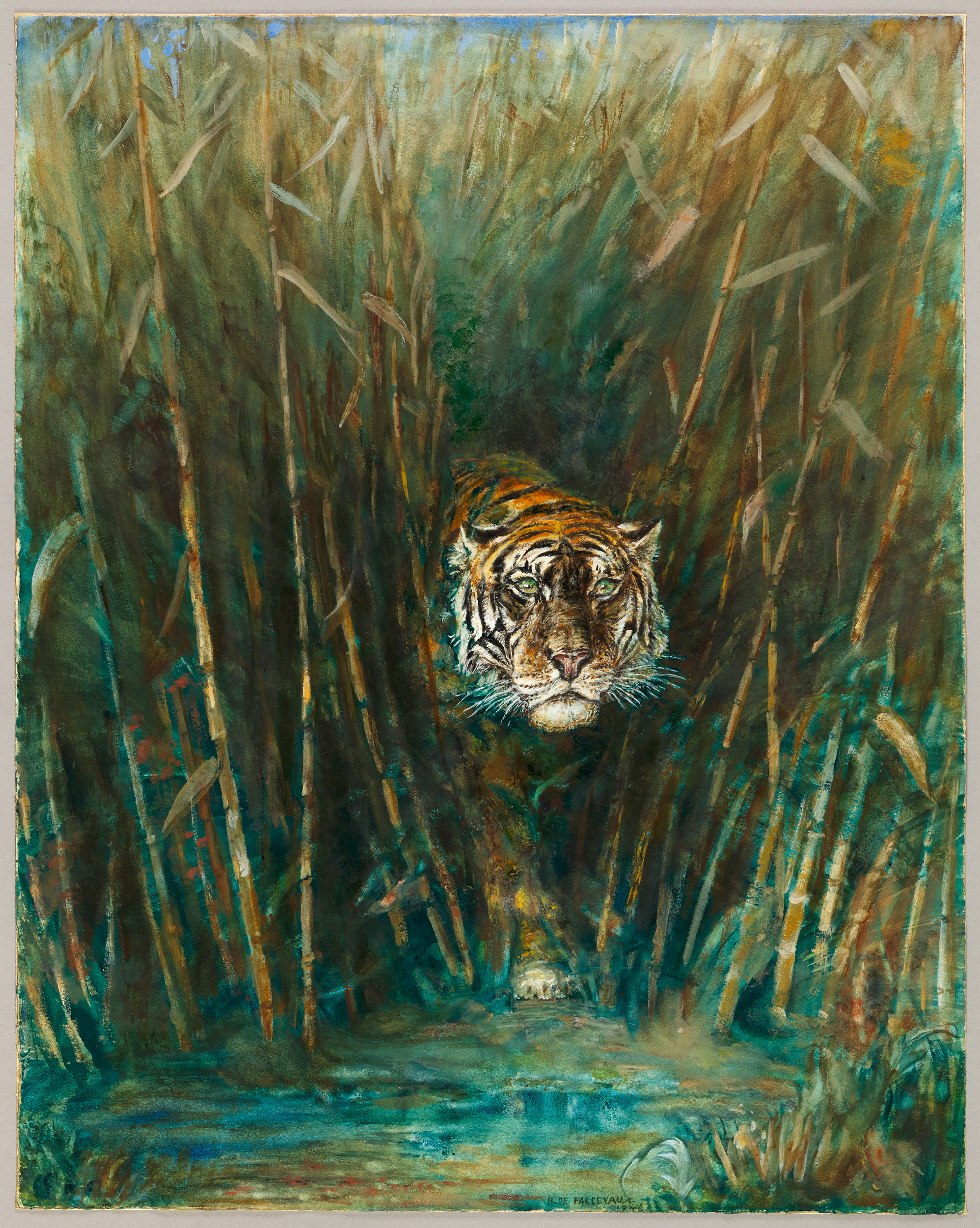 Tigre, Henri de Parceveaux, 20e siècle