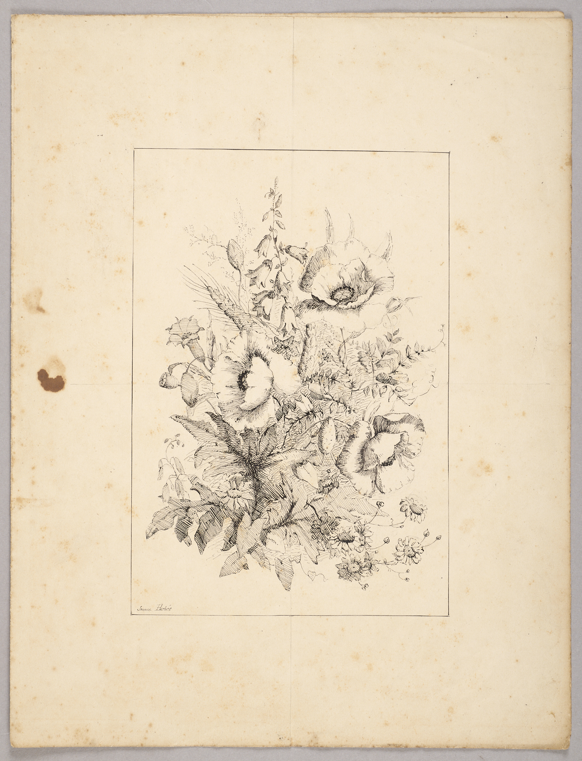 Fleurs, Jeanne-Marie Barbey, 4e quart 19e siècle