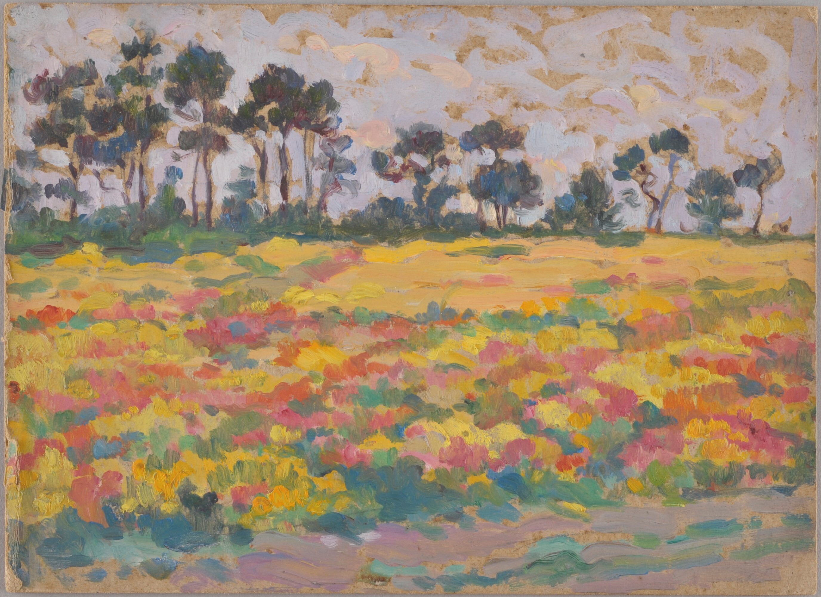 Paysage de landes_0